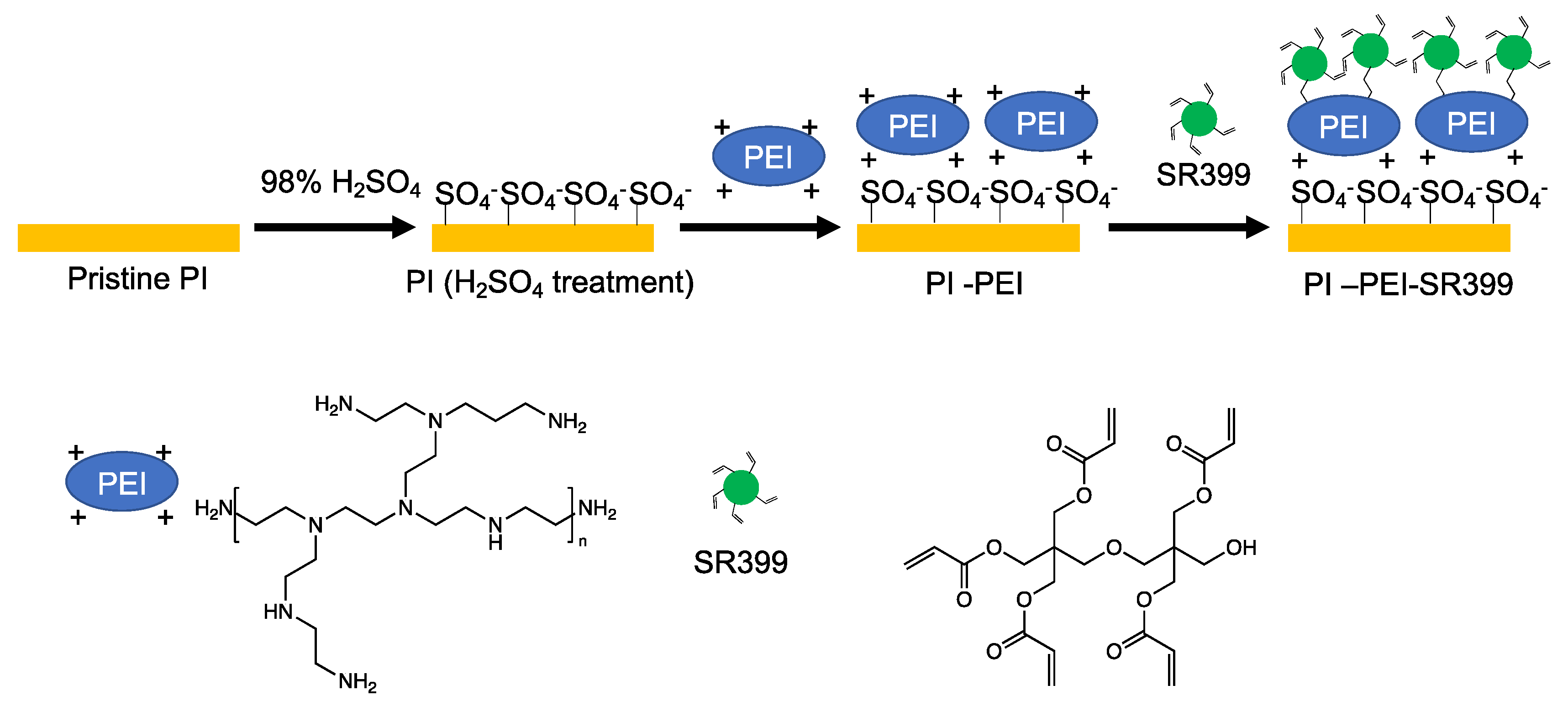 Polymers 14 04949 g009 Polymers 14 04949 g009
