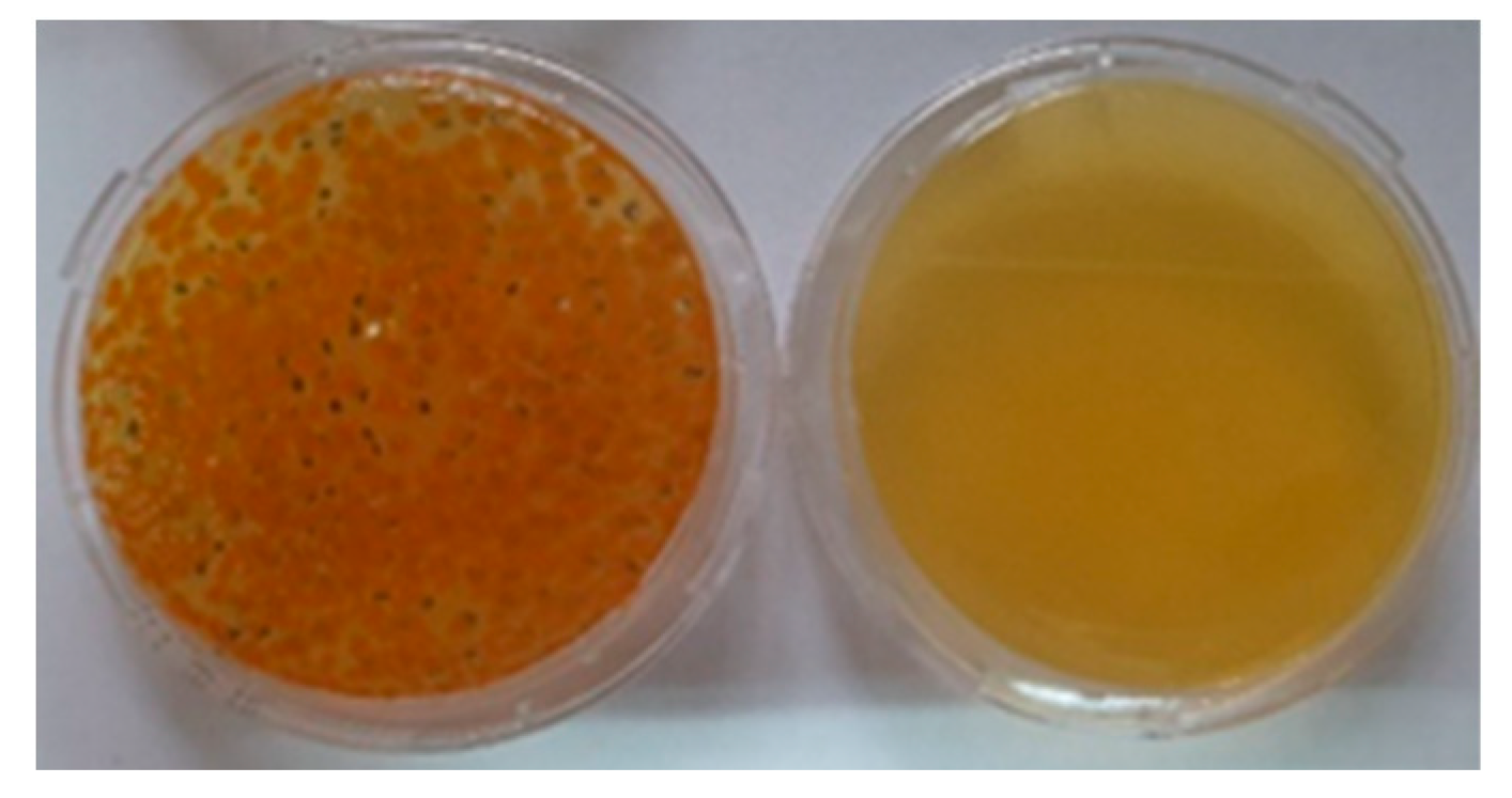 Polymers 14 04952 g009 Polymers 14 04952 g009