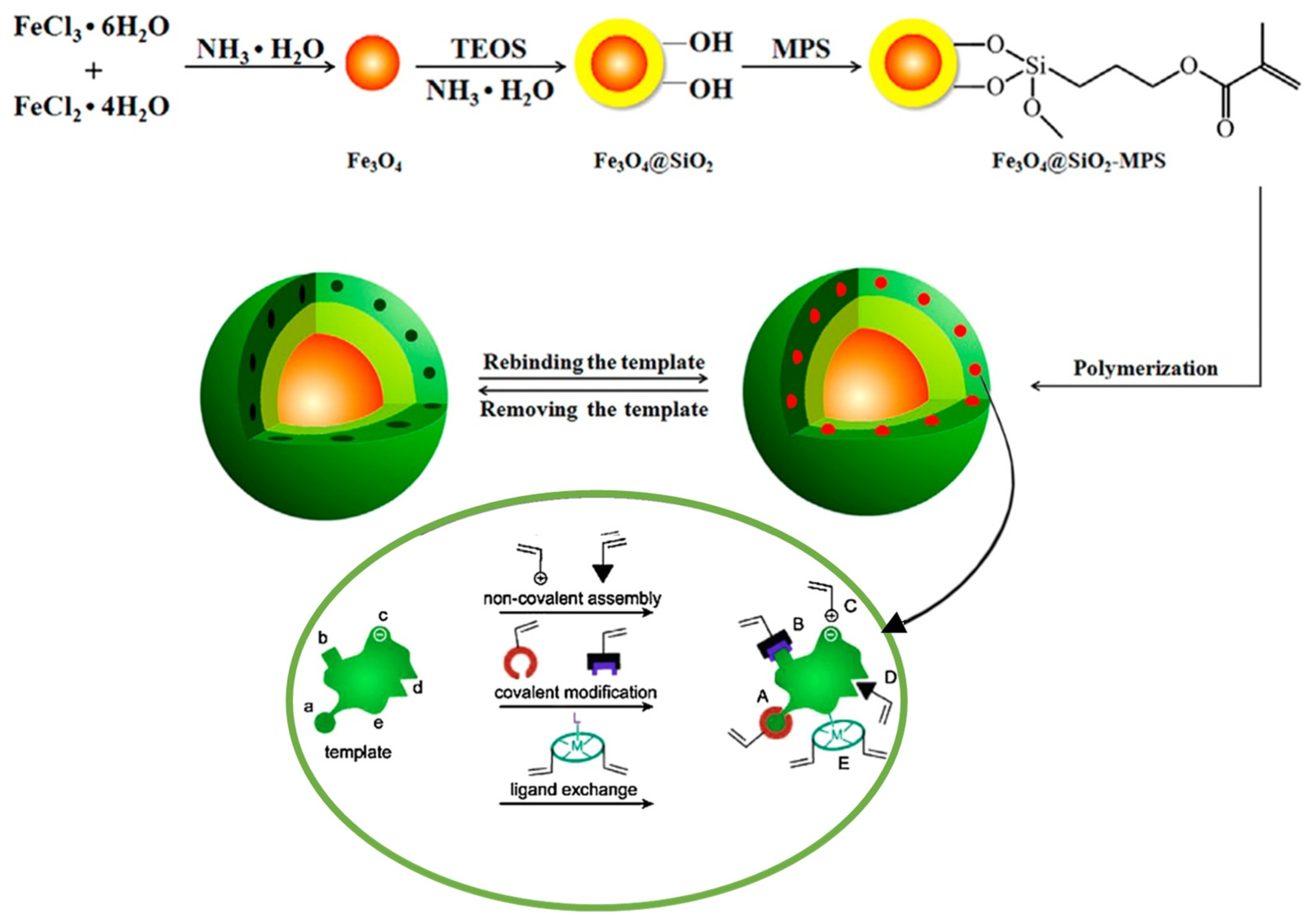Polymers 14 04954 g003 Polymers 14 04954 g003