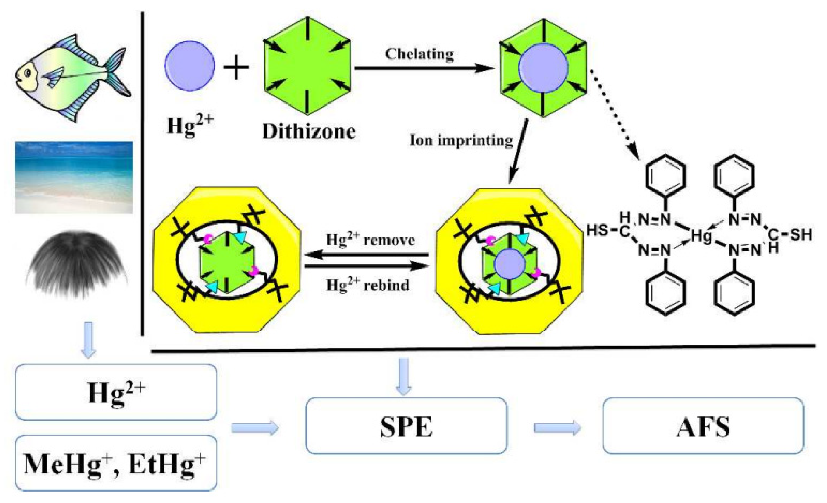 Polymers 14 04954 g005 Polymers 14 04954 g005