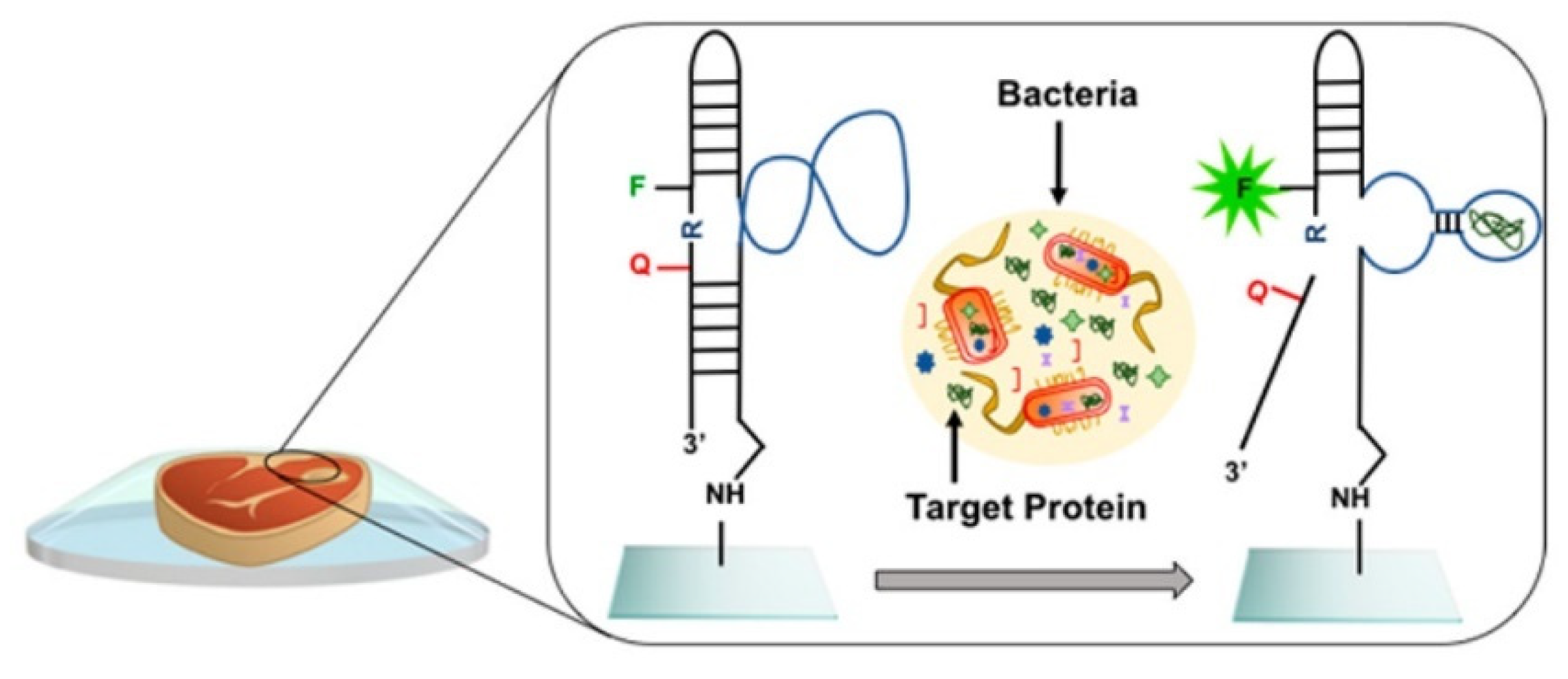 Polymers 14 04954 g008 Polymers 14 04954 g008