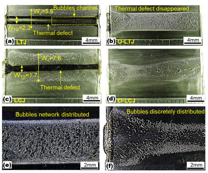 Polymers 14 04956 g002
