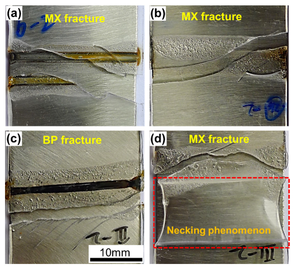 Polymers 14 04956 g004