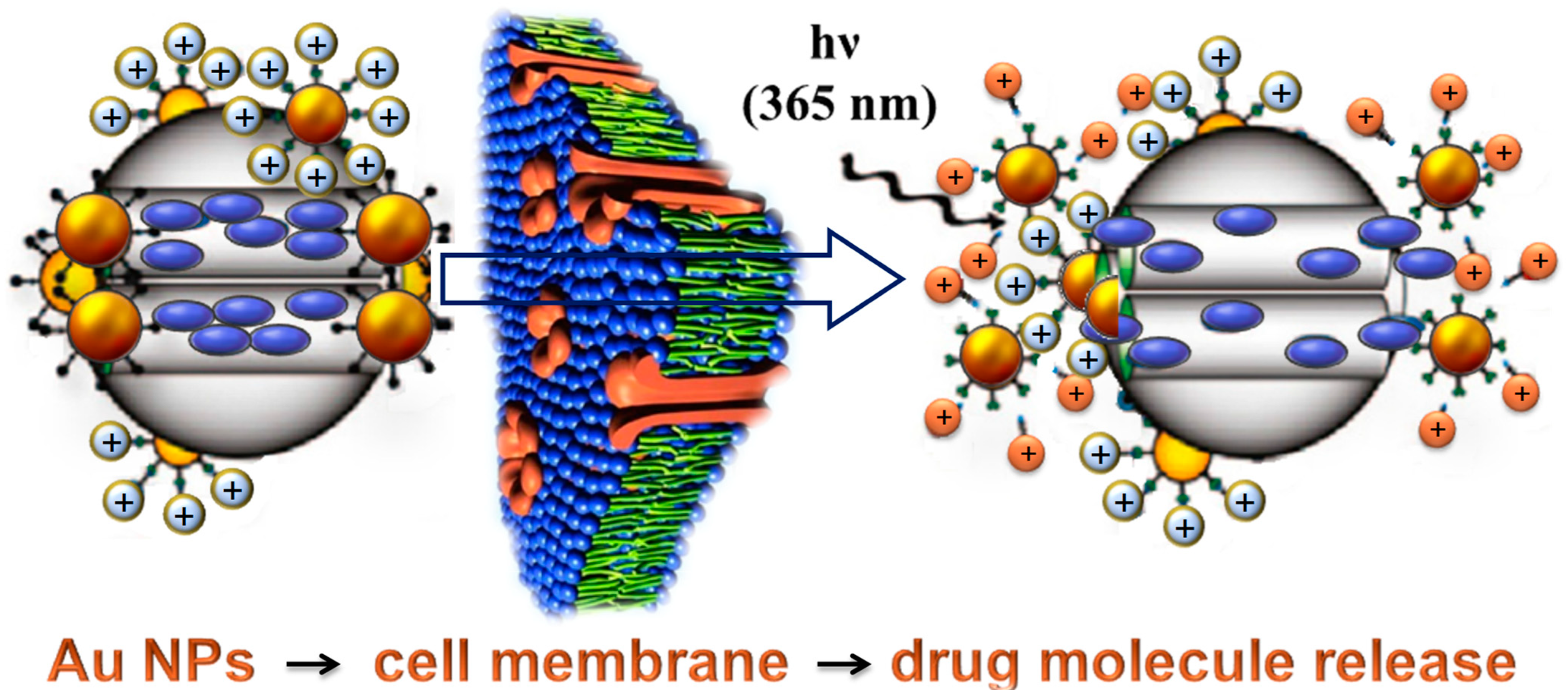 Polymers 14 04961 g001