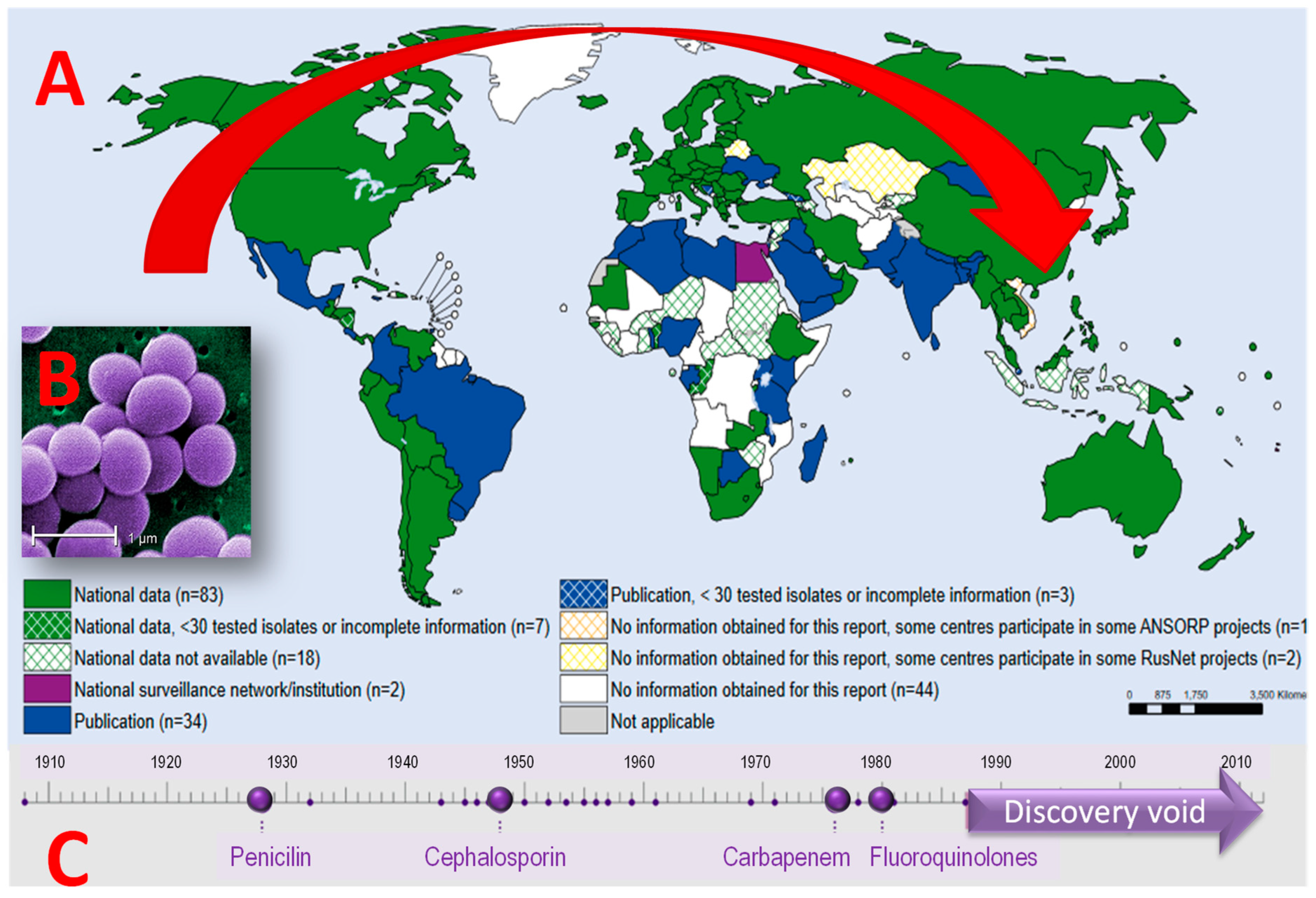 Polymers 14 04961 g002