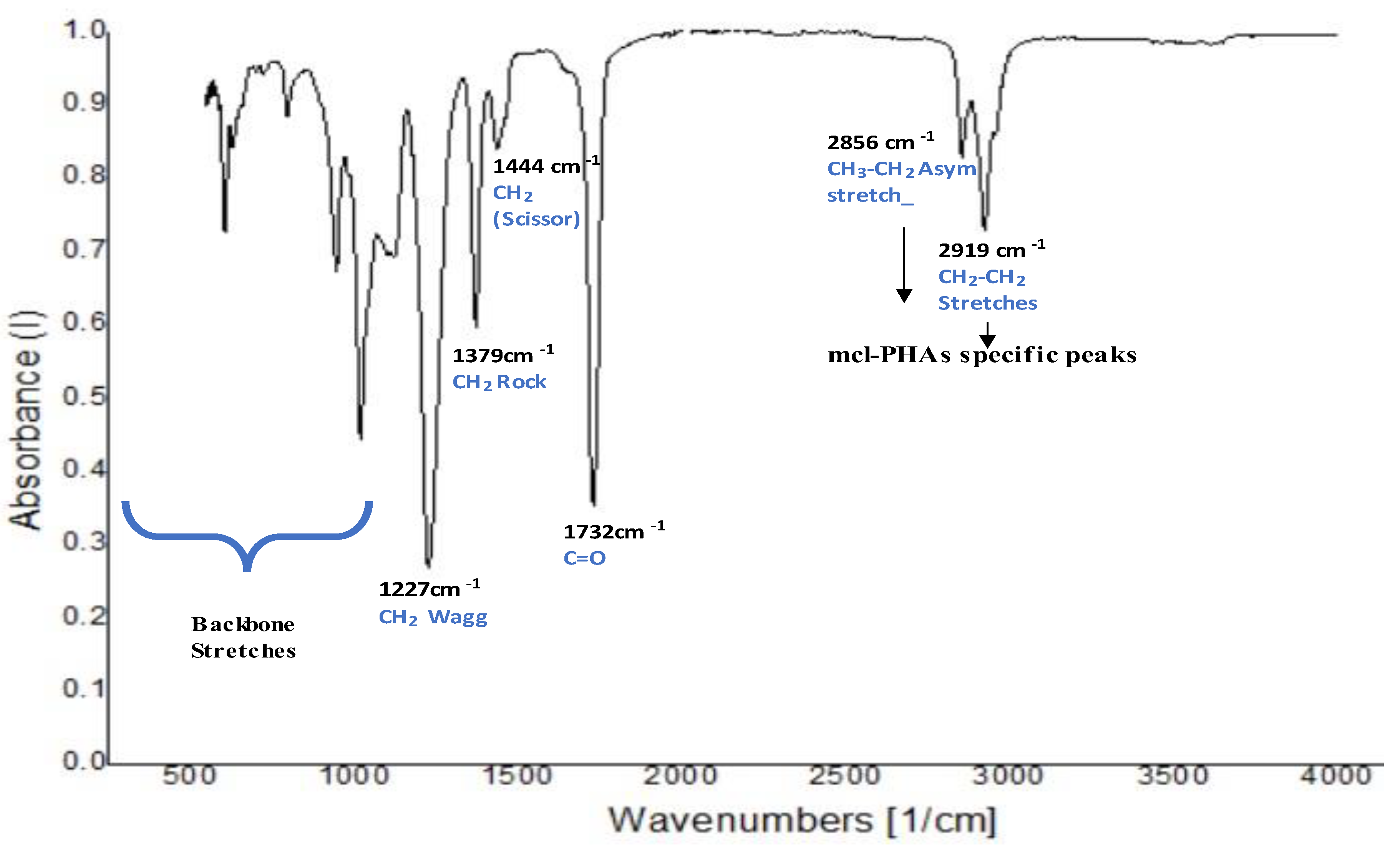 Polymers 14 04963 g005