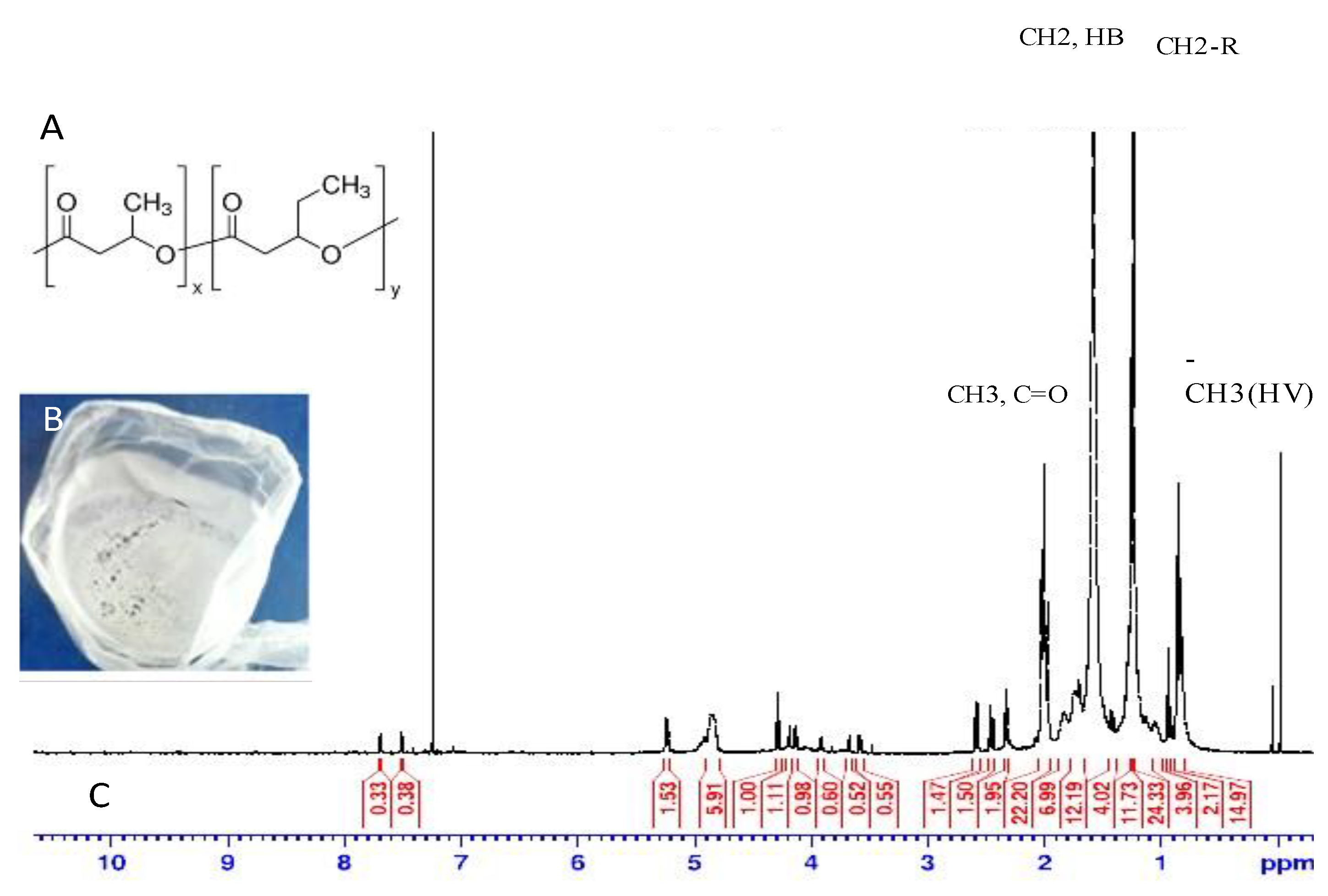 Polymers 14 04963 g006