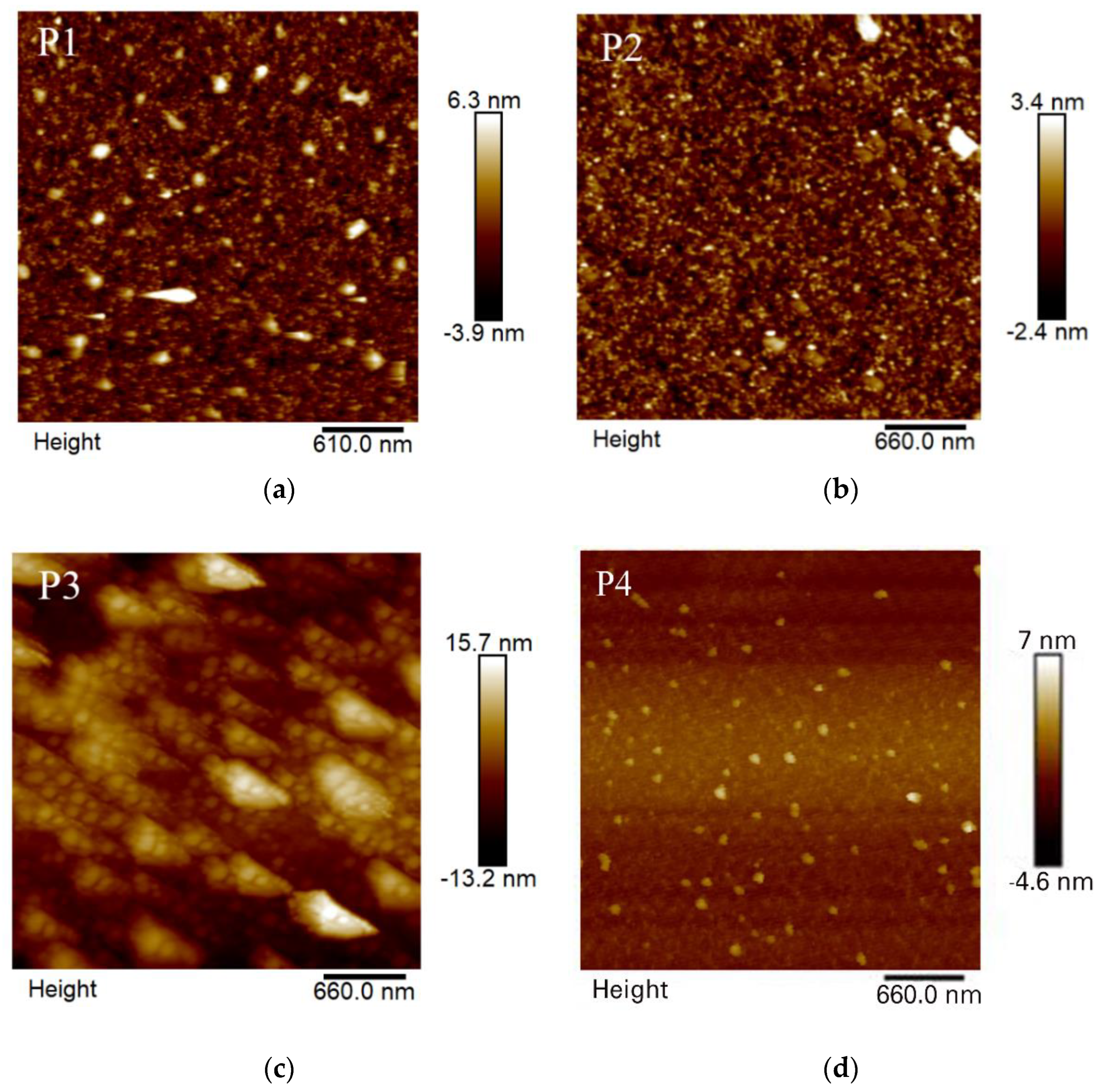 Polymers 14 04965 g003