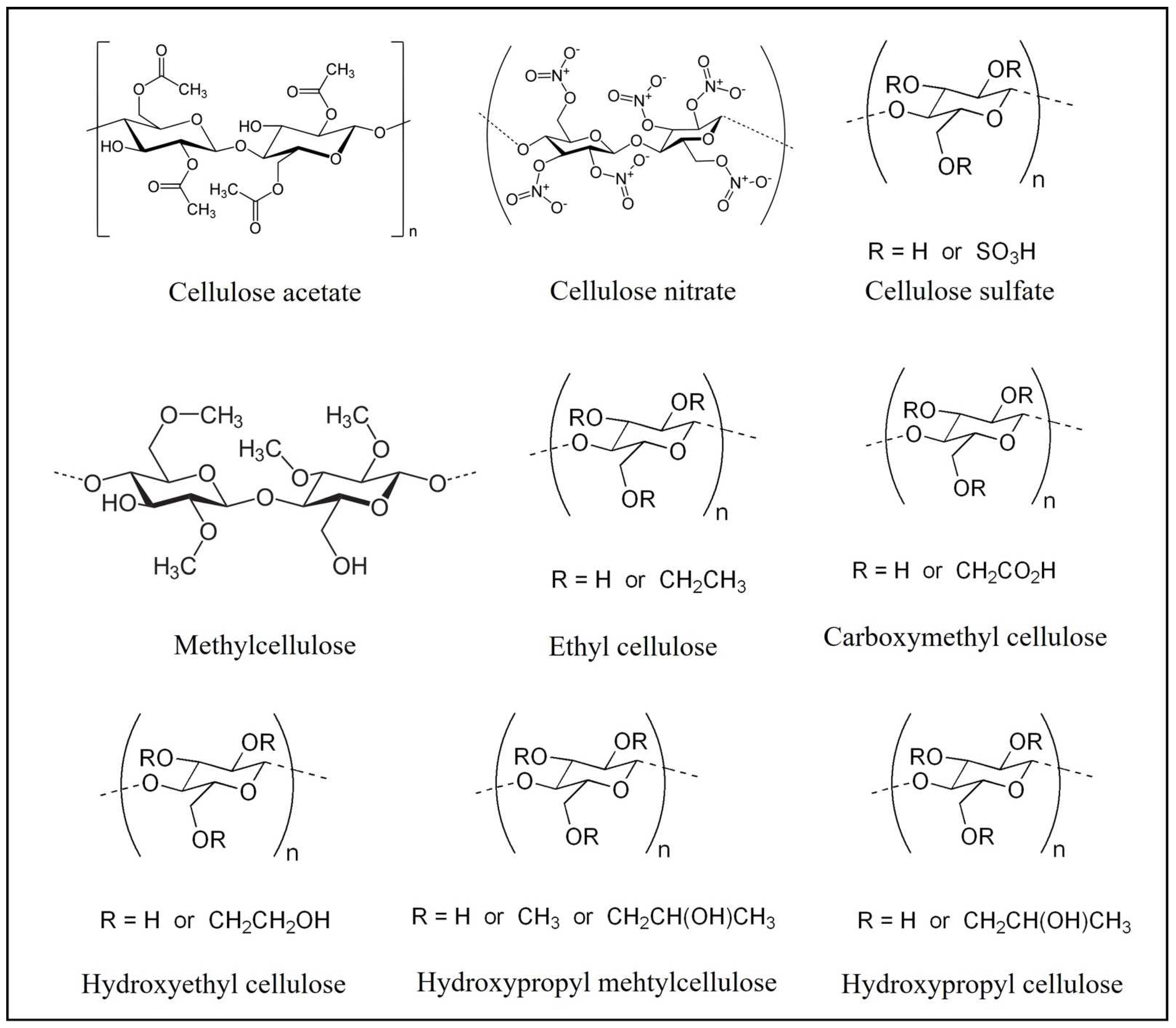 Polymers 14 04968 g005