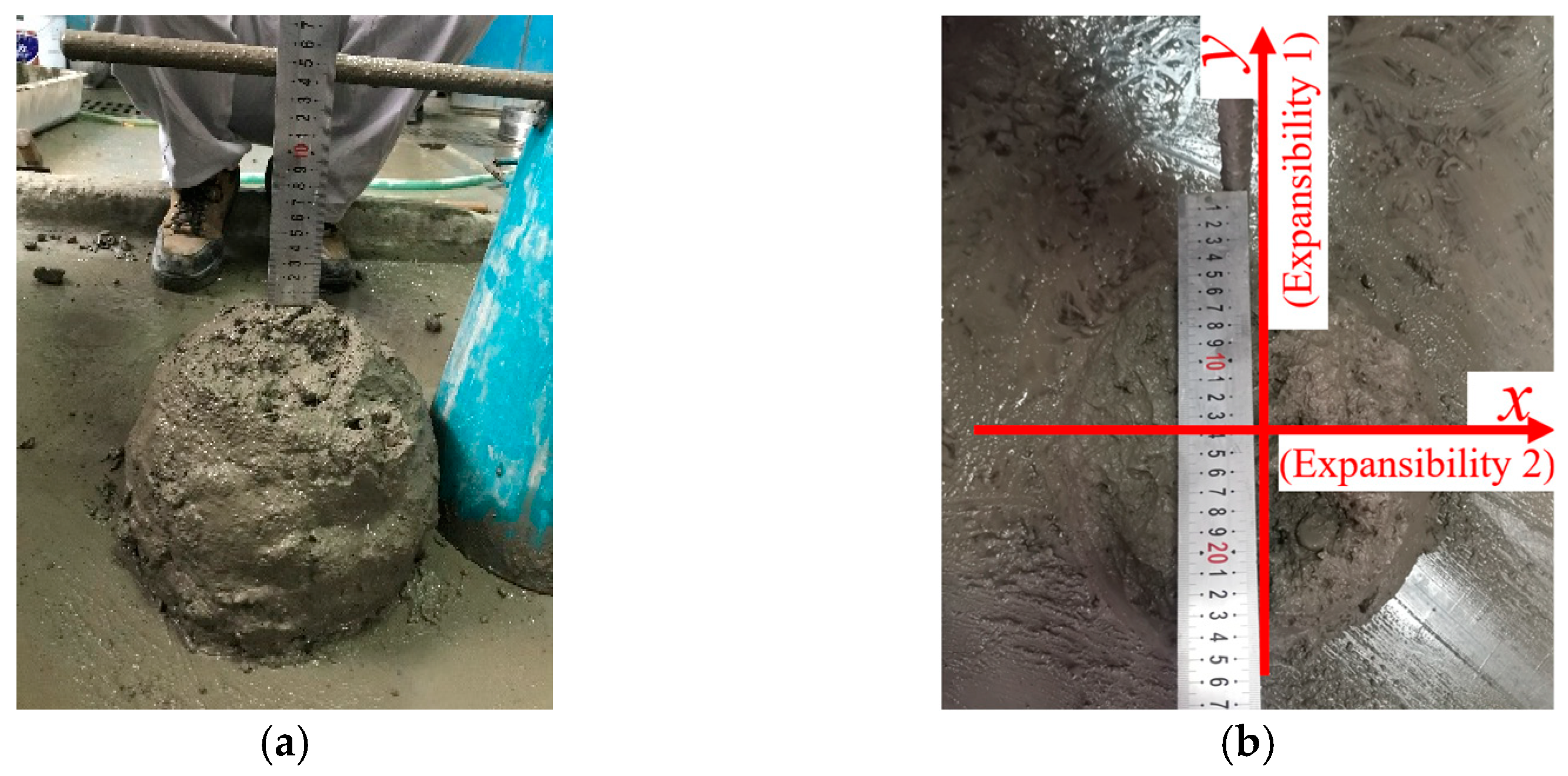 Polymers 14 04969 g002