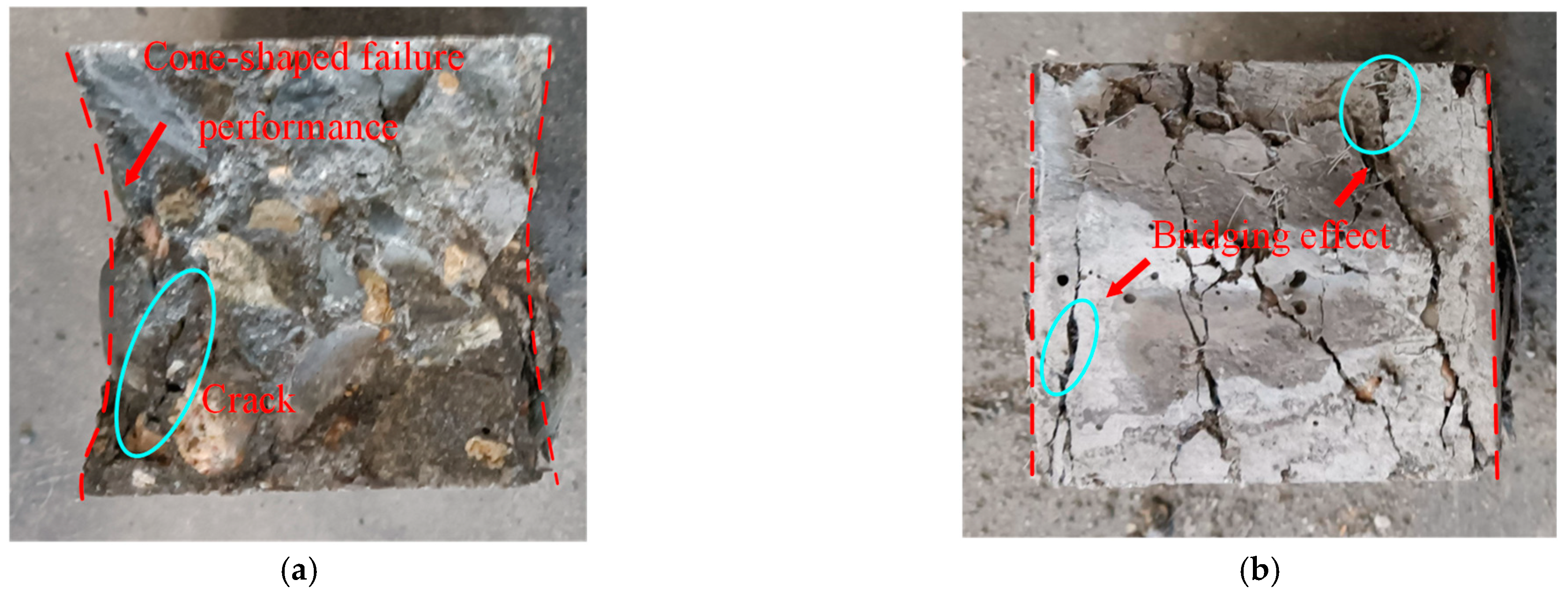 Polymers 14 04969 g012