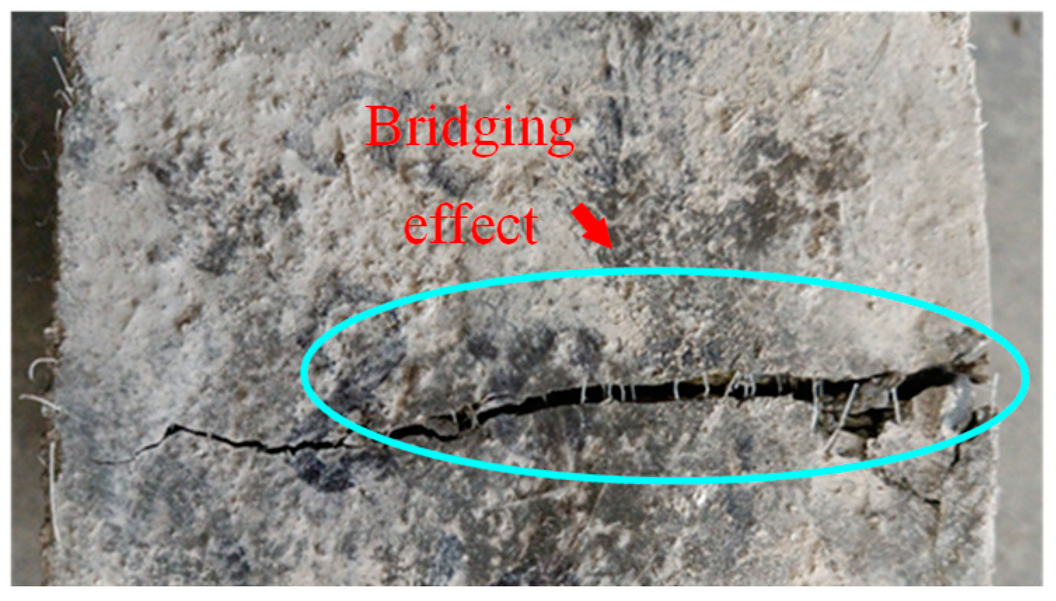 Polymers 14 04969 g021