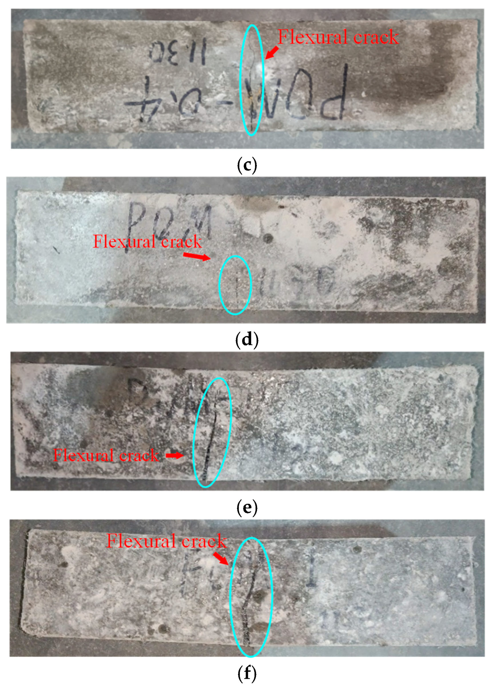 Polymers 14 04969 g024b