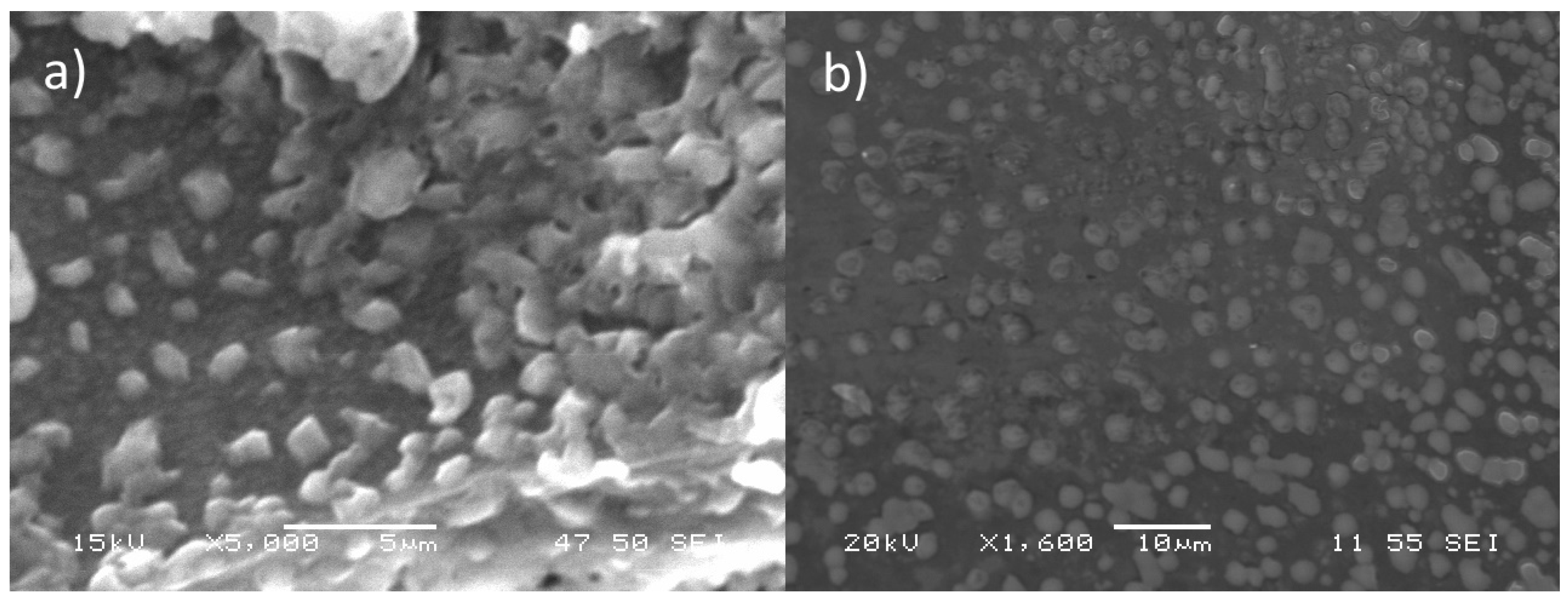 Polymers 14 04978 g004