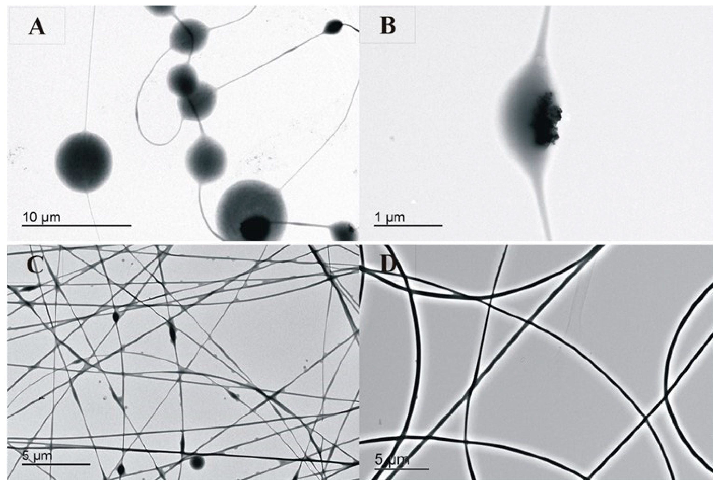 Polymers 14 04983 g001 Polymers 14 04983 g001