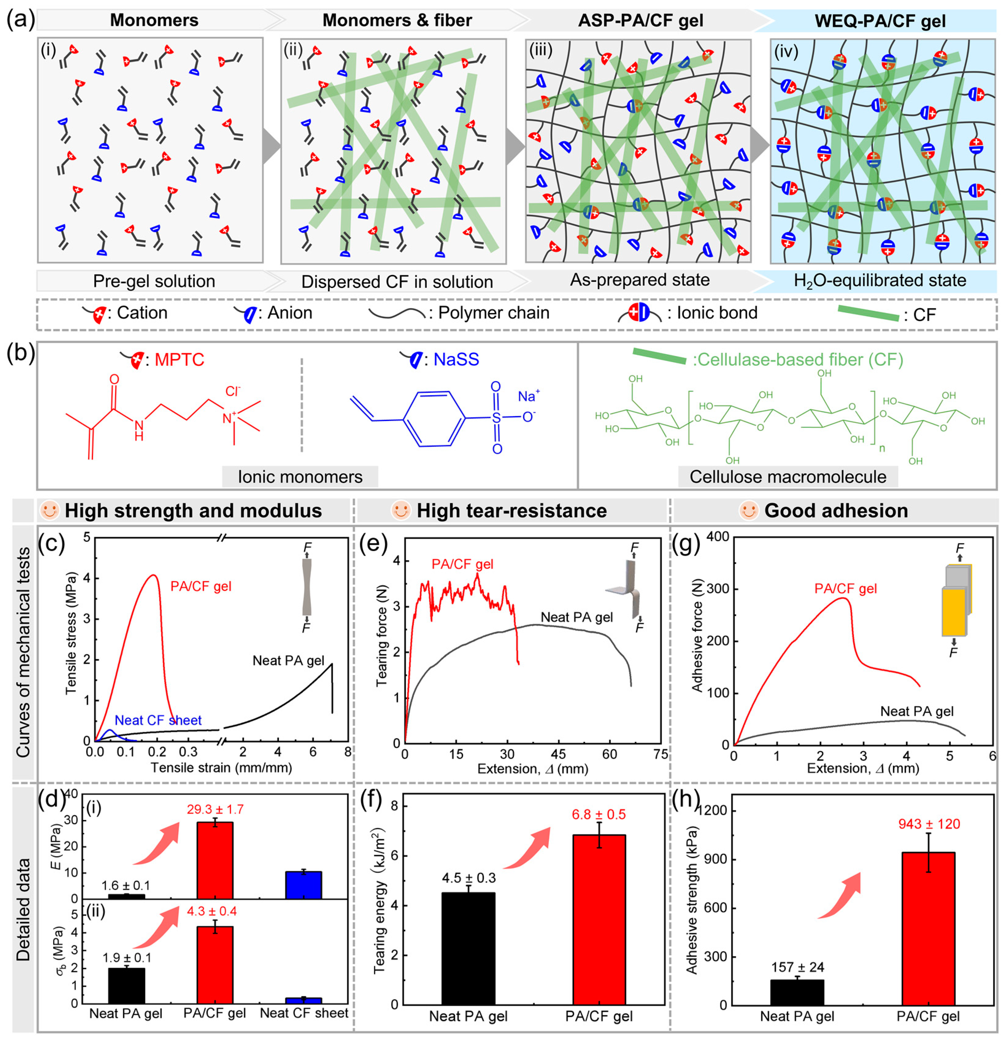 Polymers 14 04984 g001 Polymers 14 04984 g001