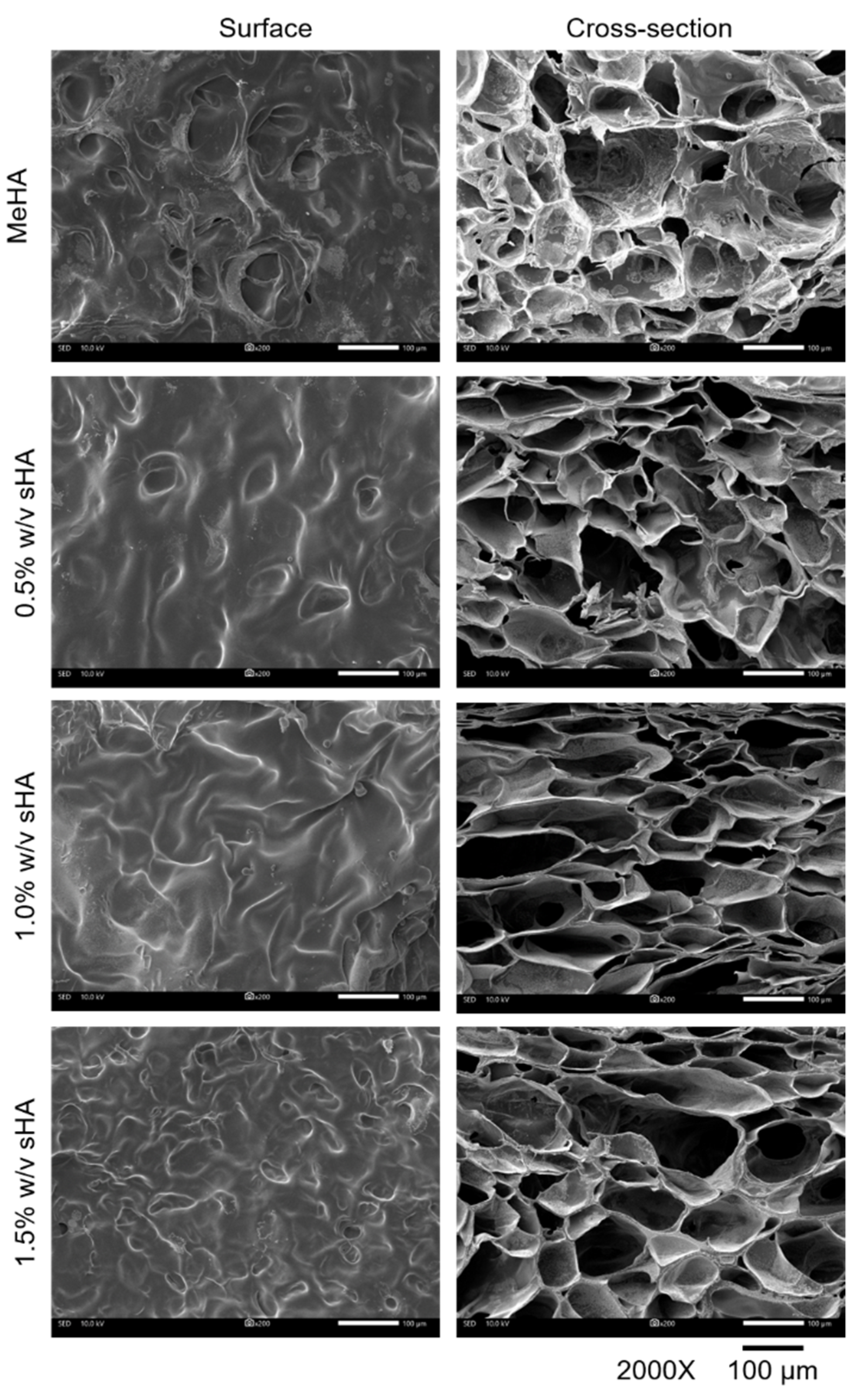 Polymers 14 04986 g004