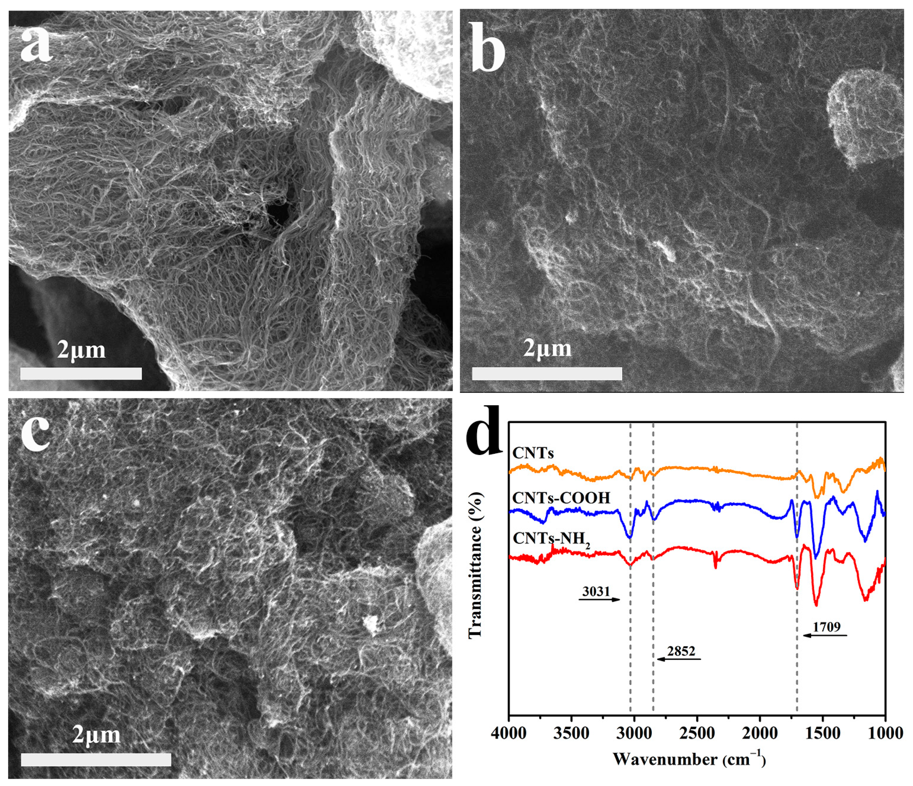 Polymers 14 04989 g002