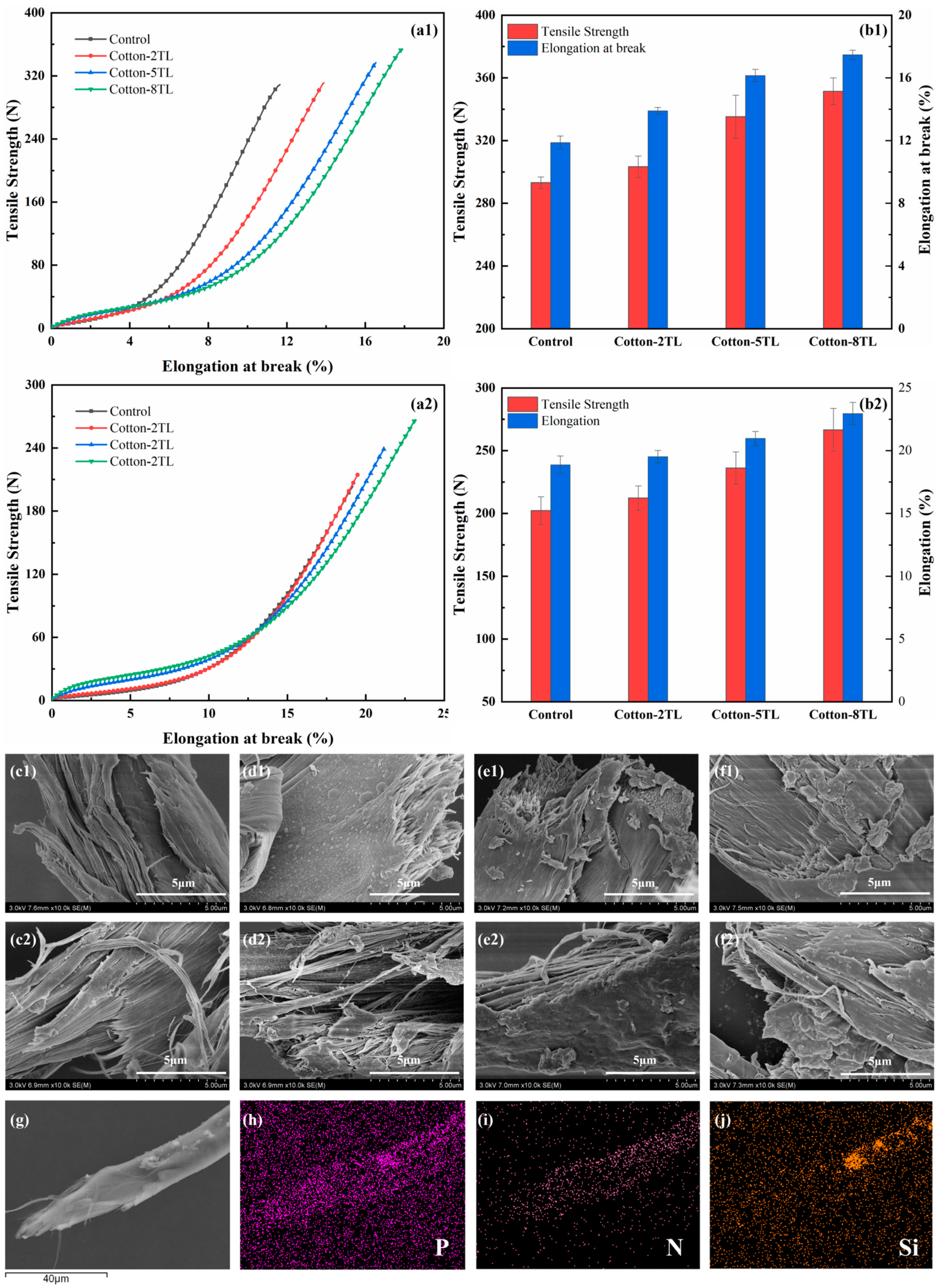 Polymers 14 04994 g008 Polymers 14 04994 g008