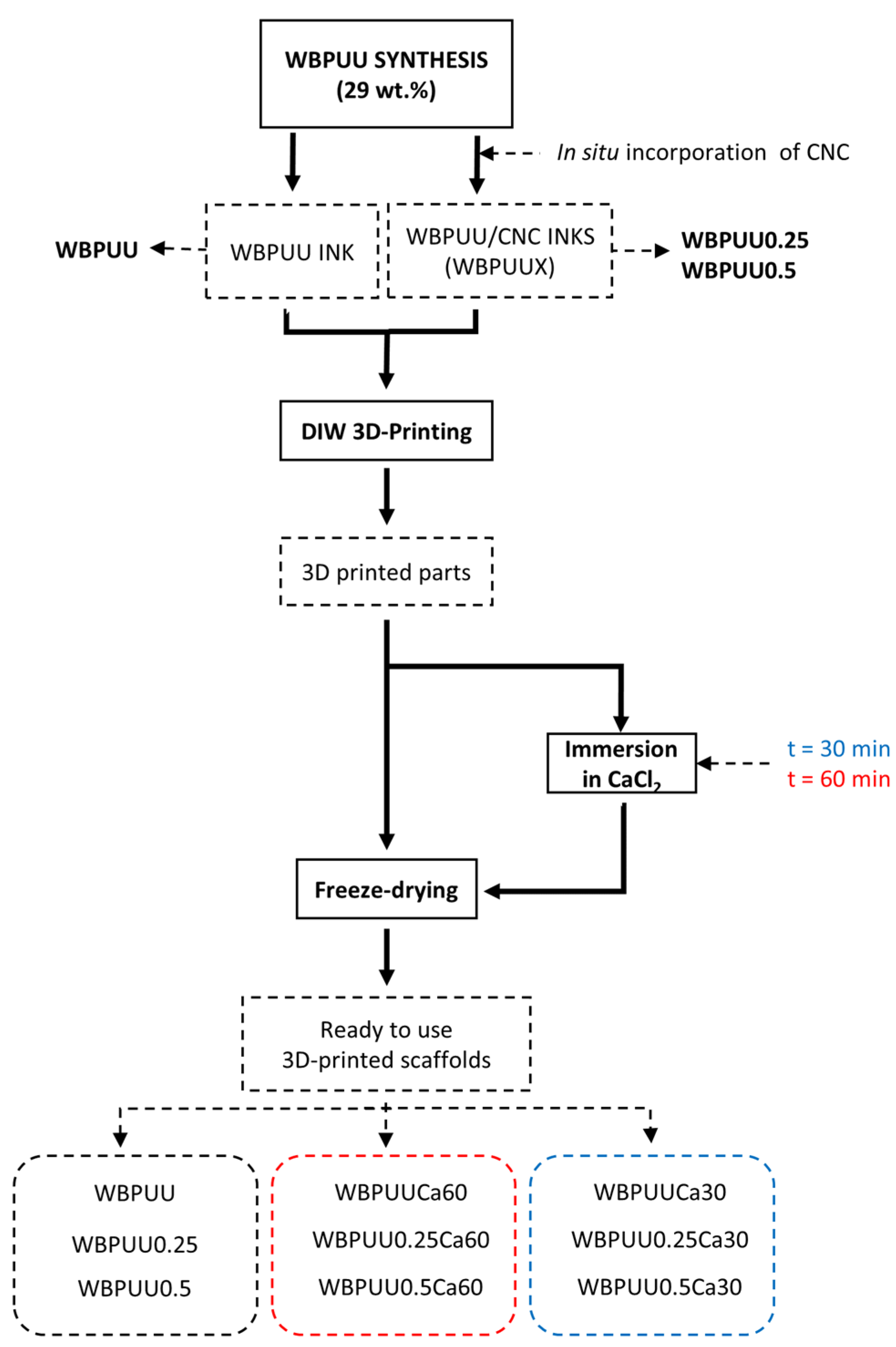 Polymers 14 04999 g001 Polymers 14 04999 g001