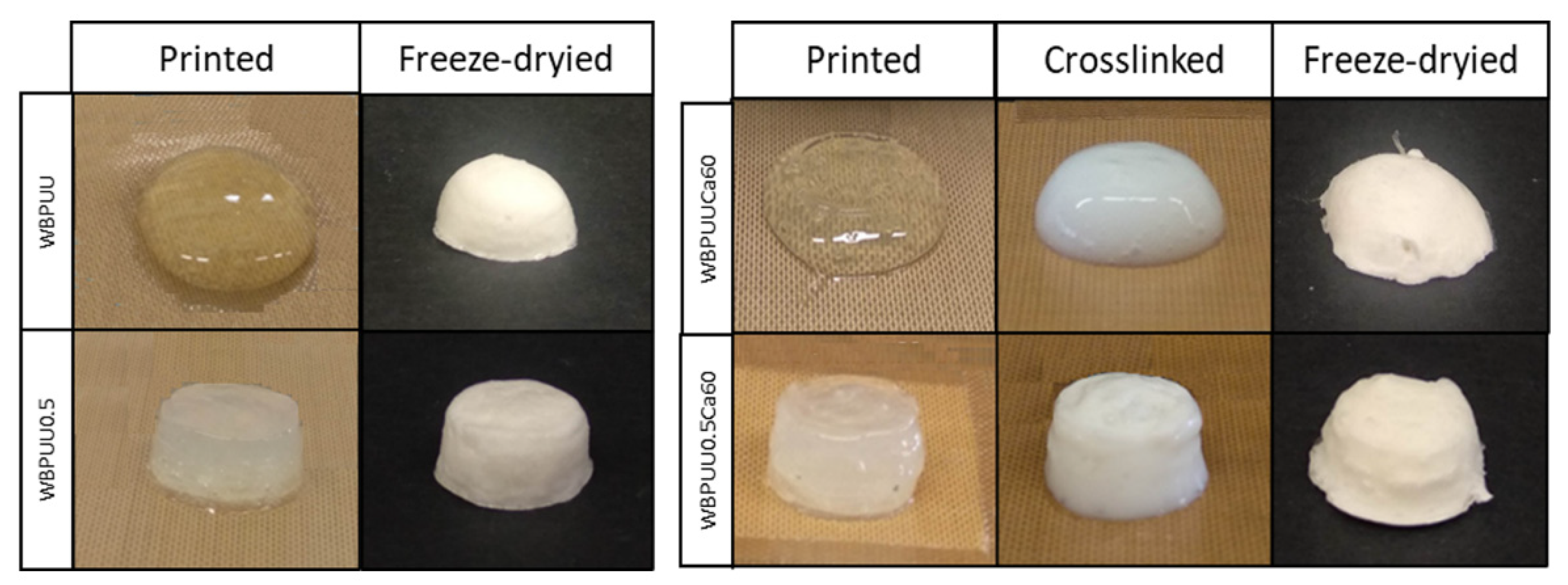 Polymers 14 04999 g002 Polymers 14 04999 g002