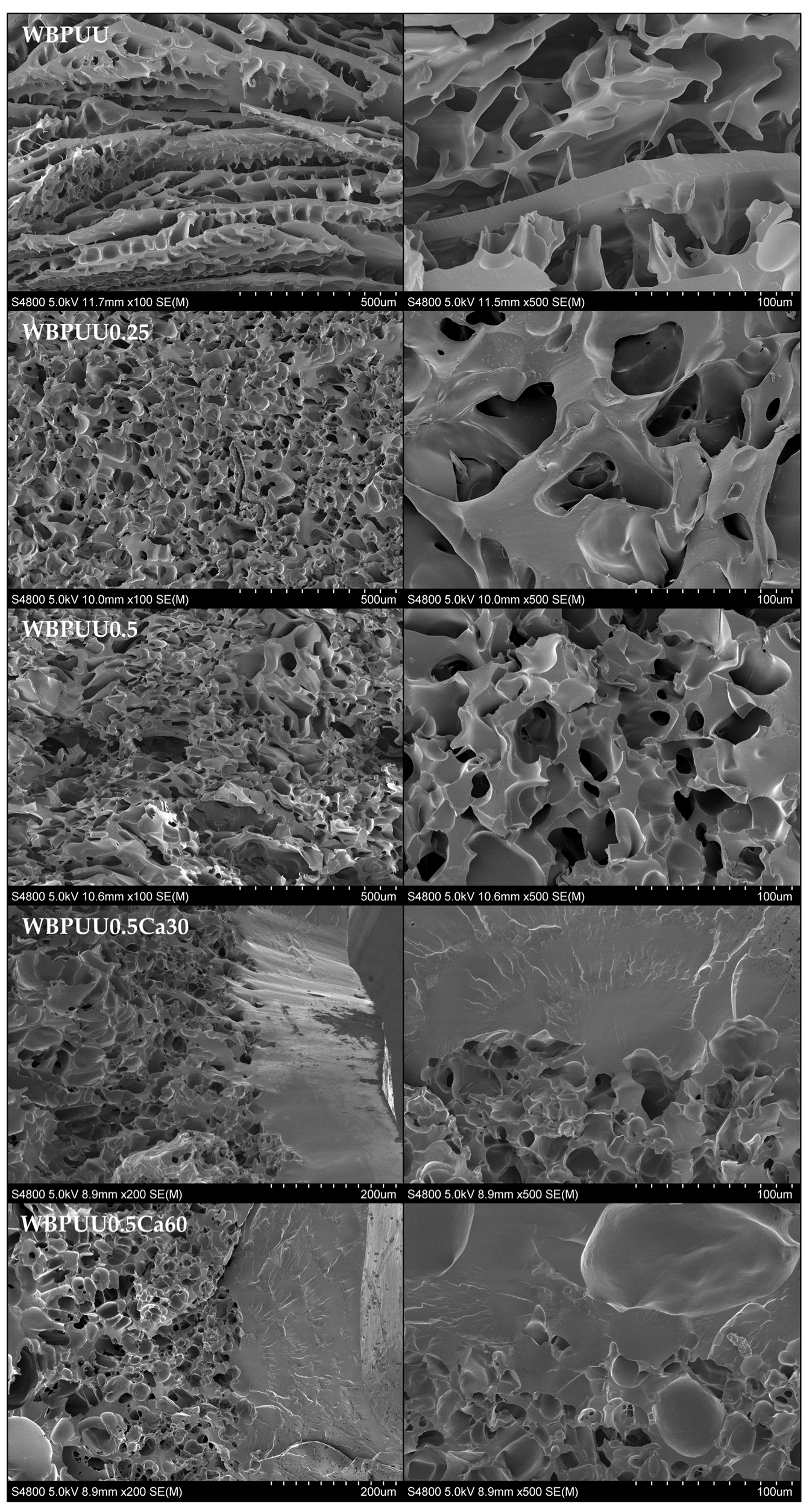 Polymers 14 04999 g005 Polymers 14 04999 g005