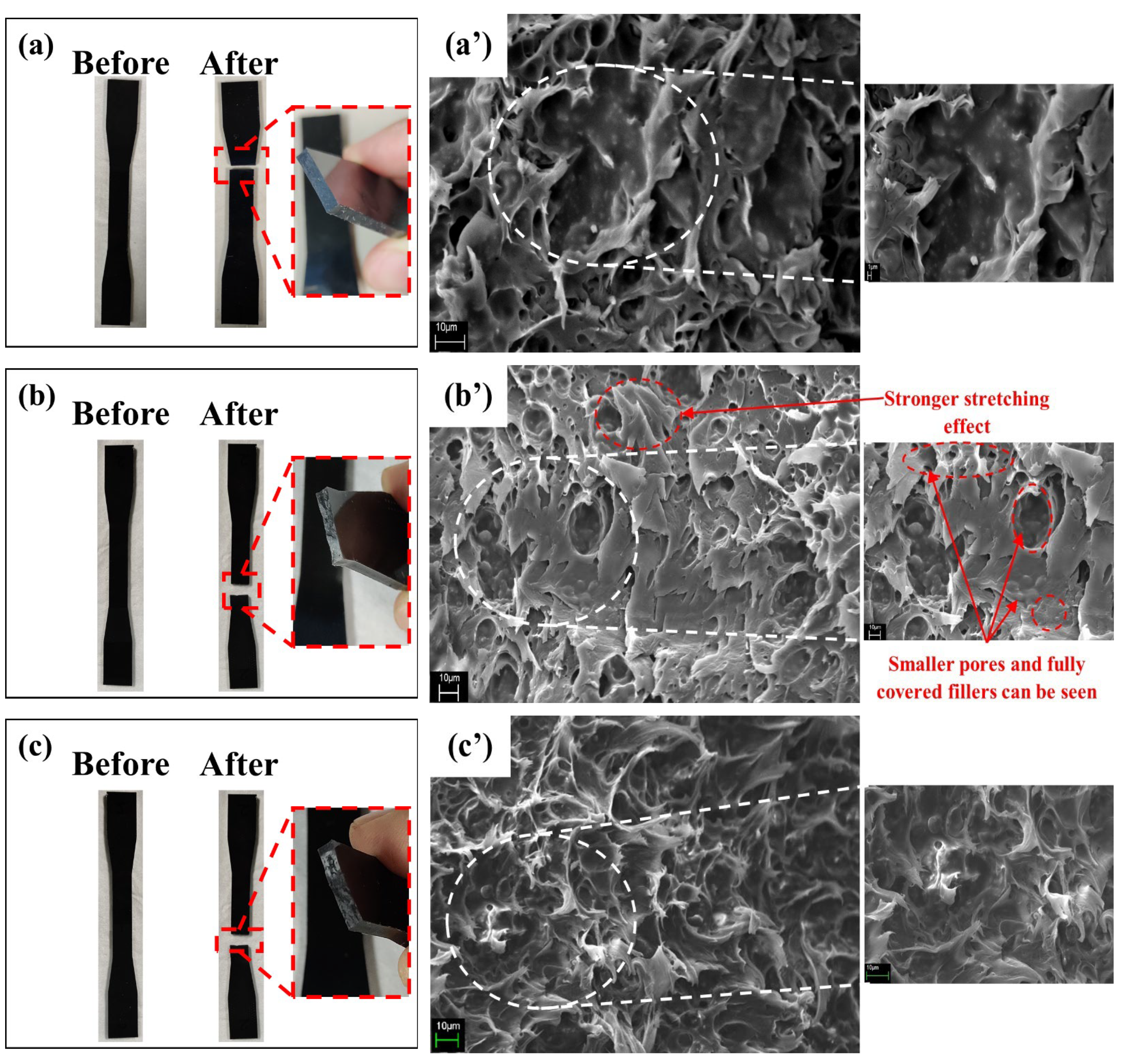 Polymers 14 05009 g004 Polymers 14 05009 g004