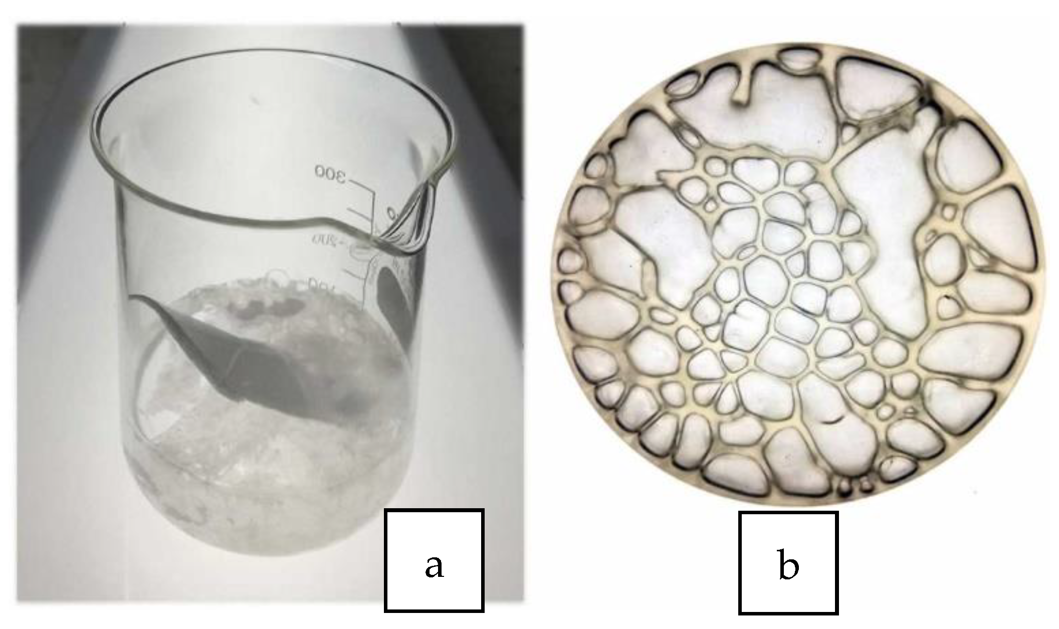 Polymers 14 05010 g015a Polymers 14 05010 g015a