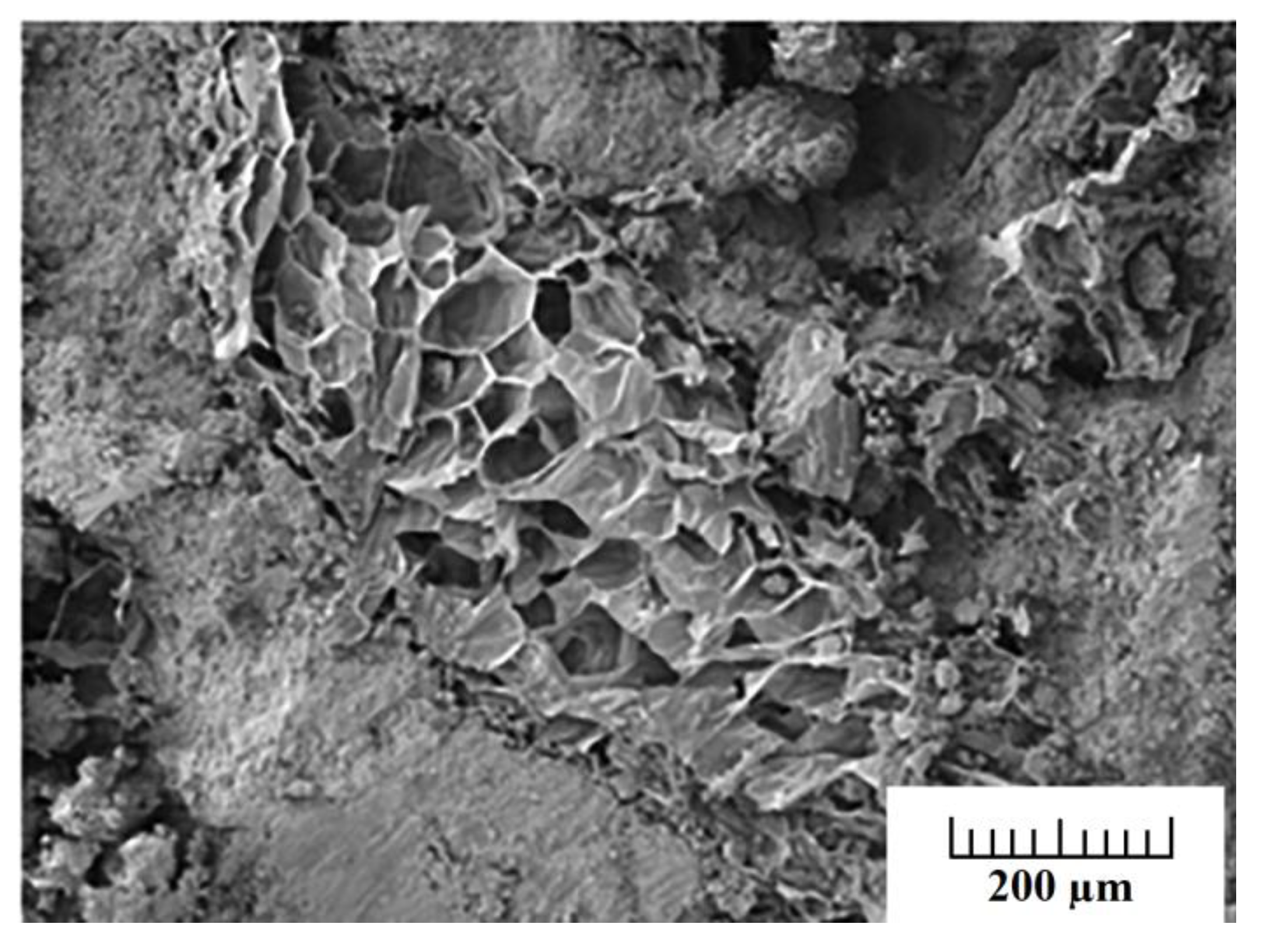 Polymers 14 05010 g021 Polymers 14 05010 g021
