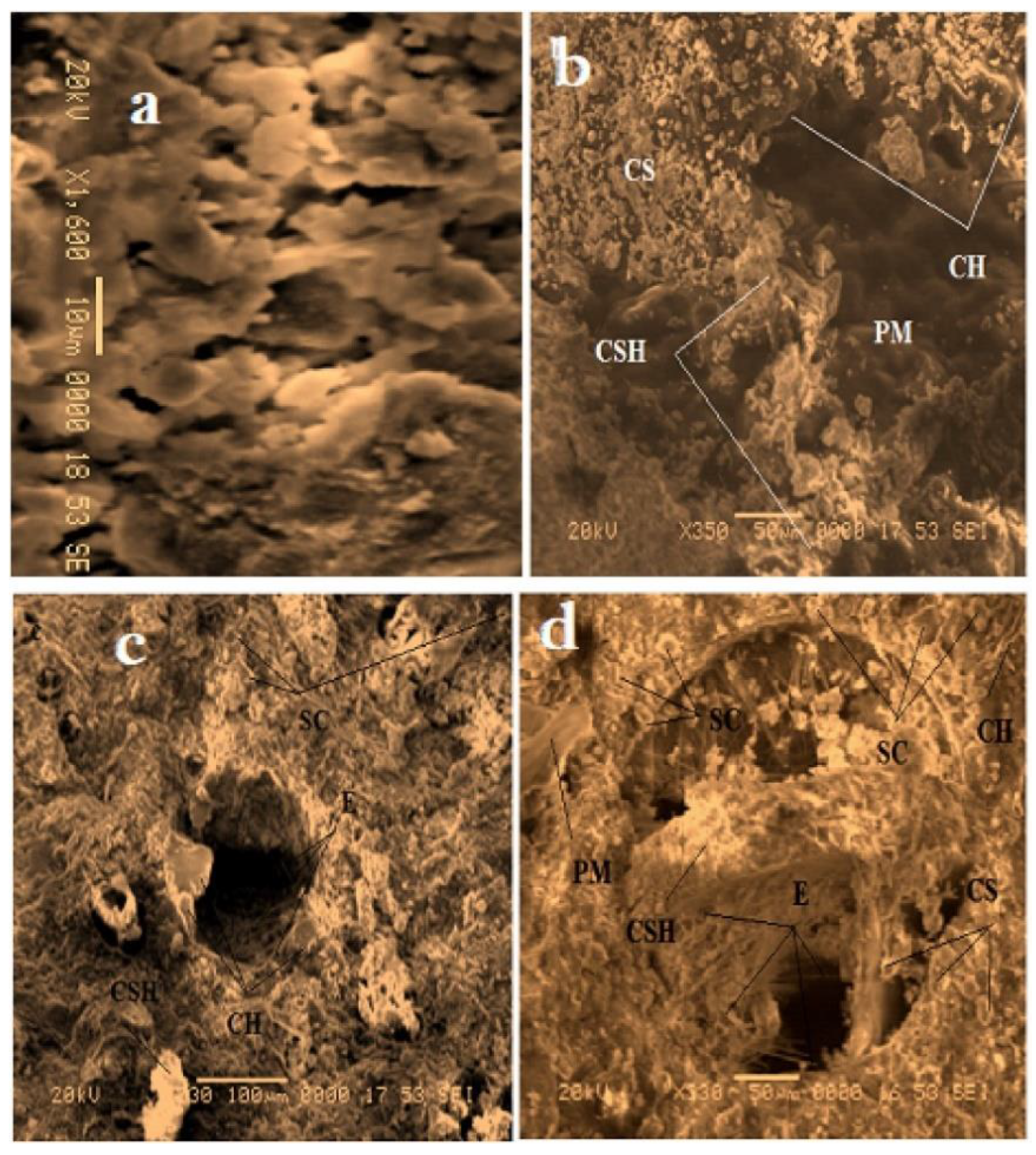 Polymers 14 05010 g026 Polymers 14 05010 g026