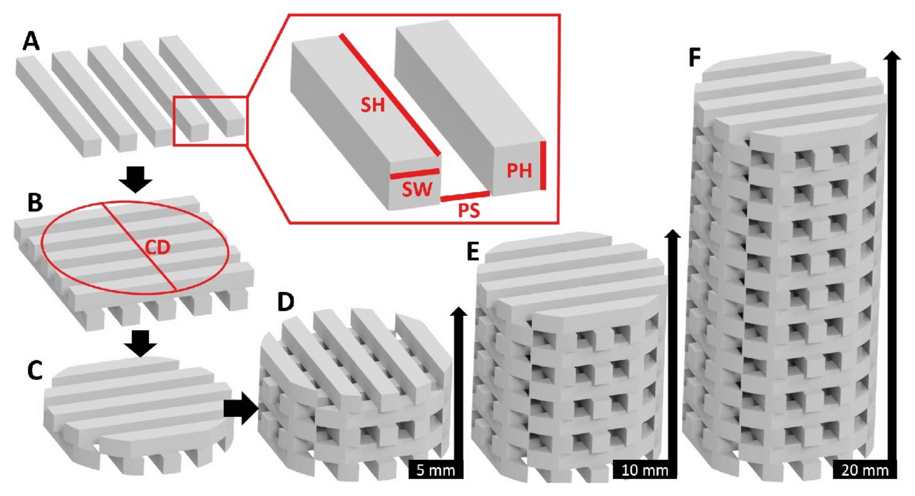 Polymers 14 05017 g001