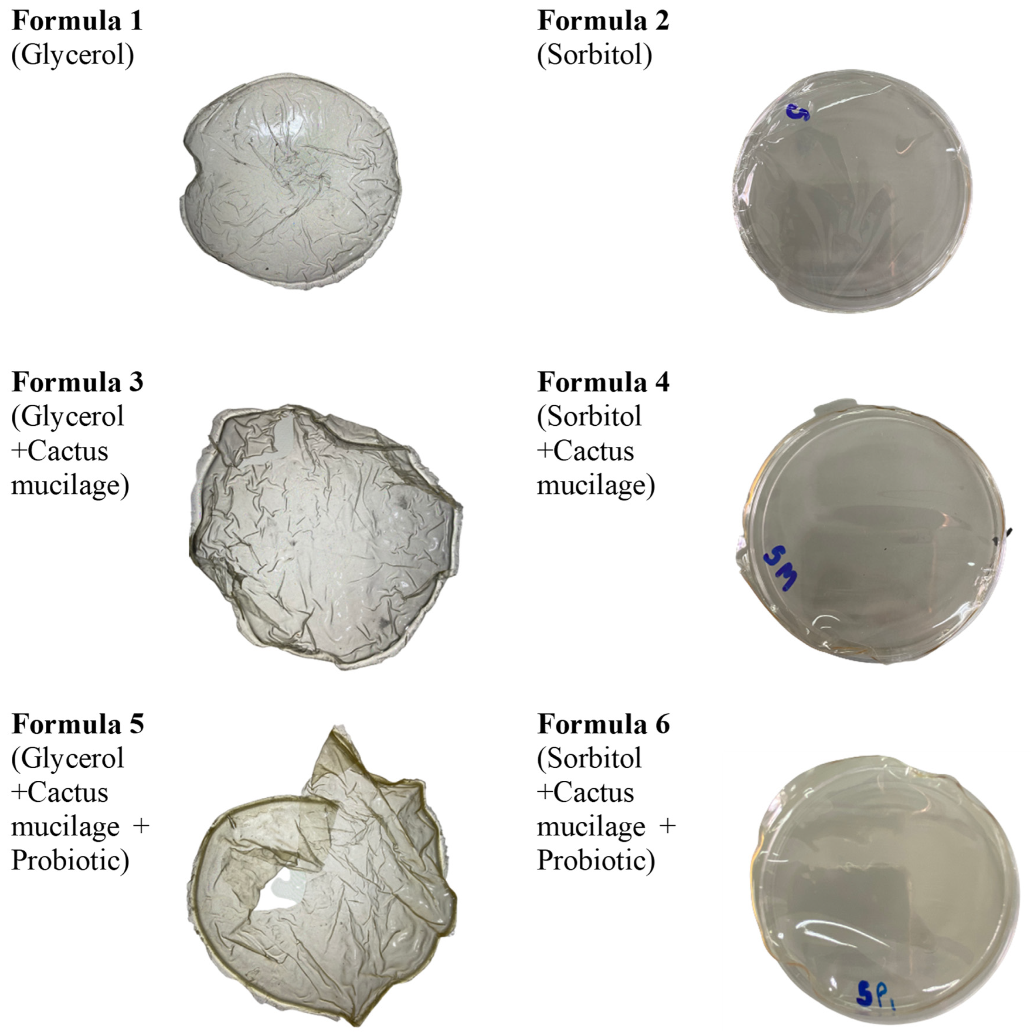 Polymers 14 05018 g001 Polymers 14 05018 g001