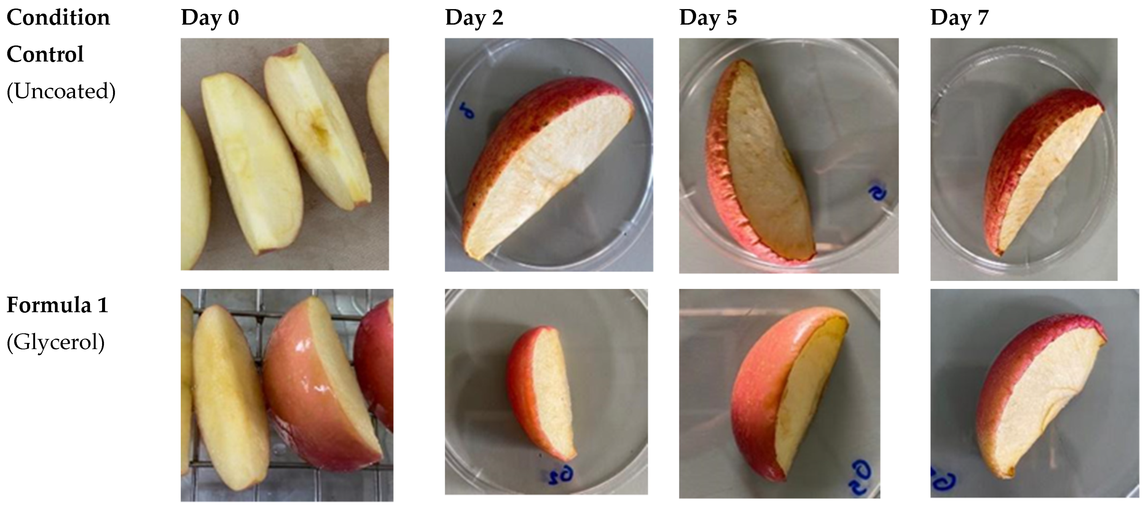Polymers 14 05018 g005a Polymers 14 05018 g005a