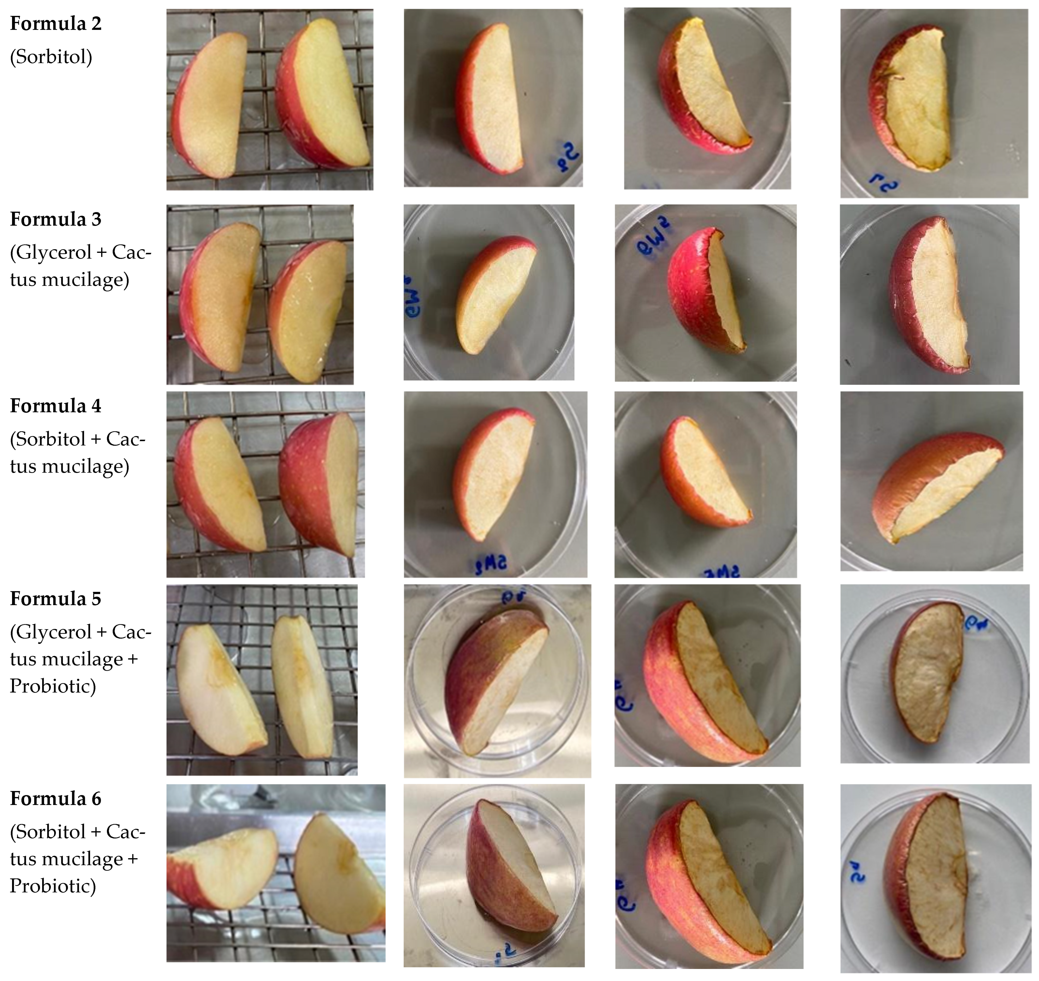 Polymers 14 05018 g005b Polymers 14 05018 g005b