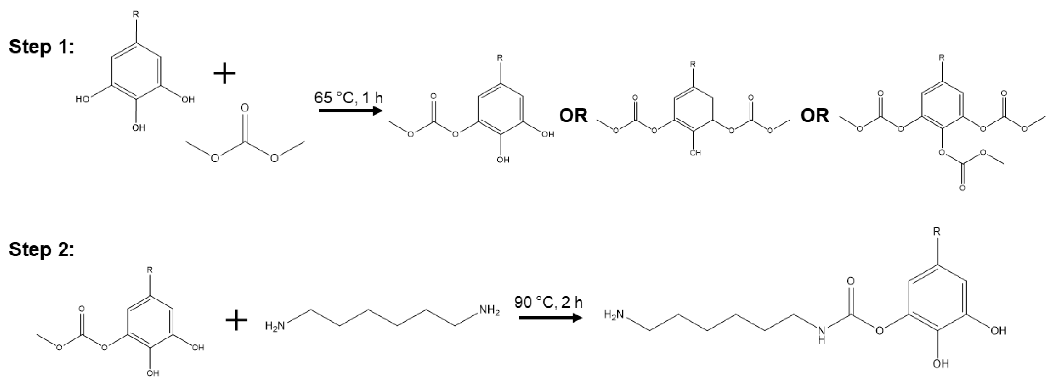 Polymers 14 05019 g001 Polymers 14 05019 g001