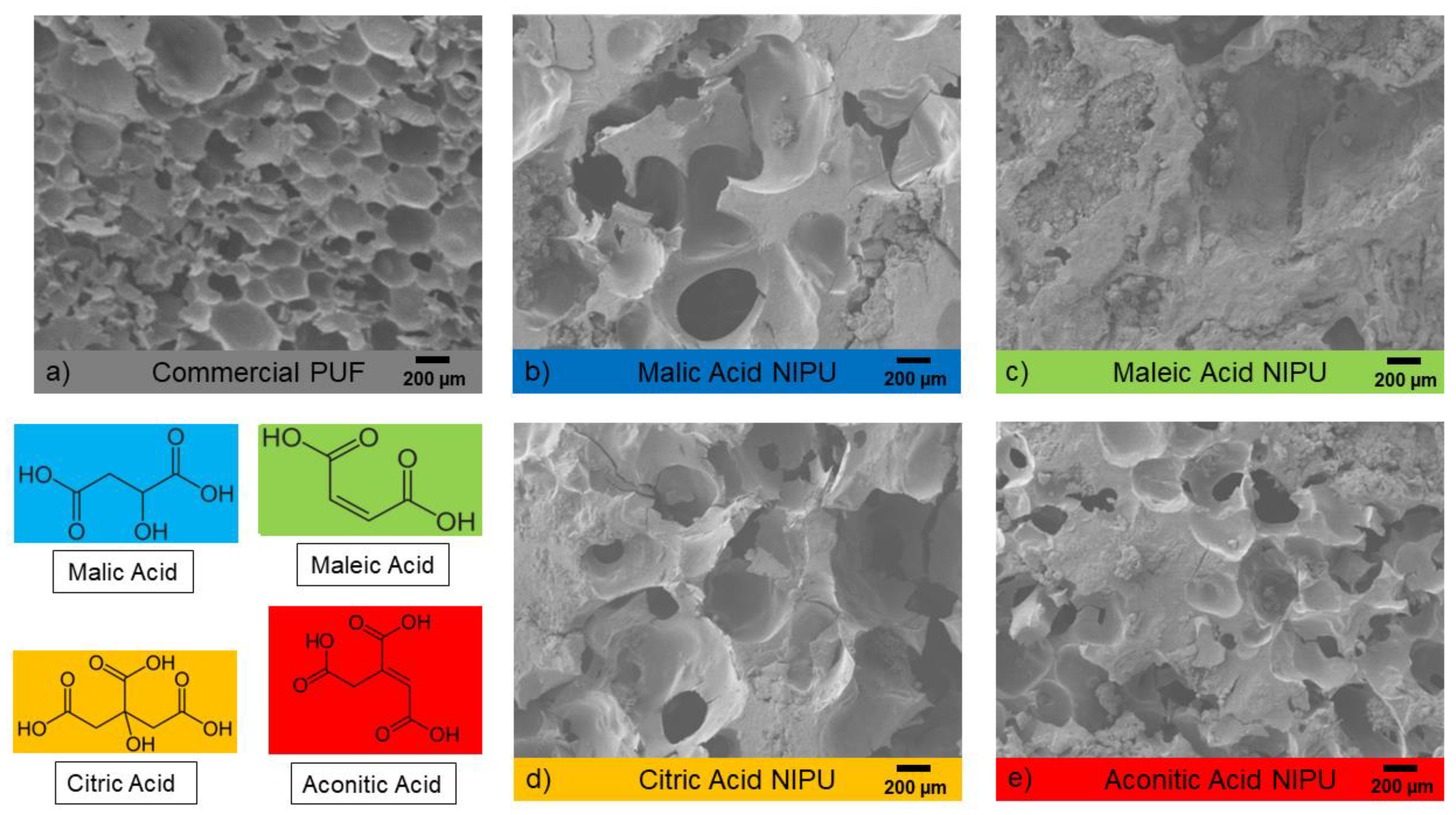 Polymers 14 05019 g003 Polymers 14 05019 g003