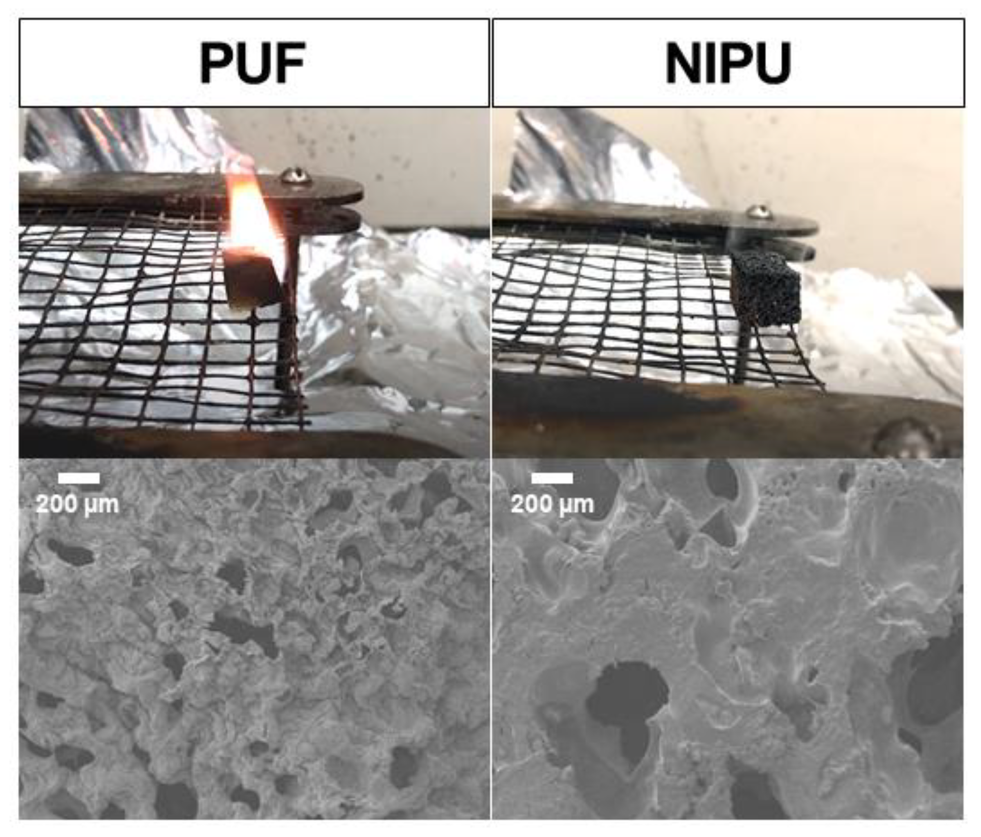 Polymers 14 05019 g006 Polymers 14 05019 g006