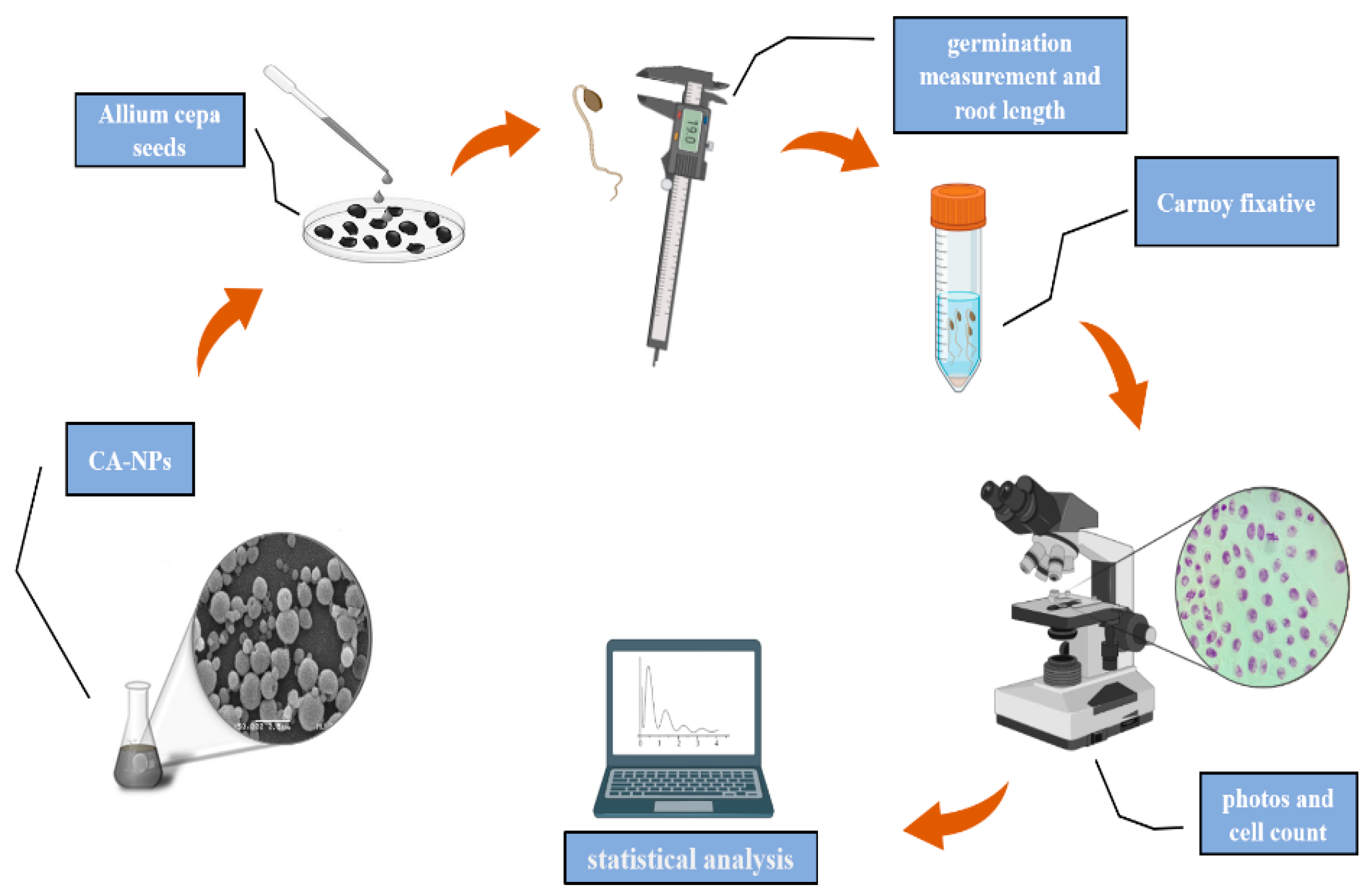 Polymers 14 05022 g001 Polymers 14 05022 g001