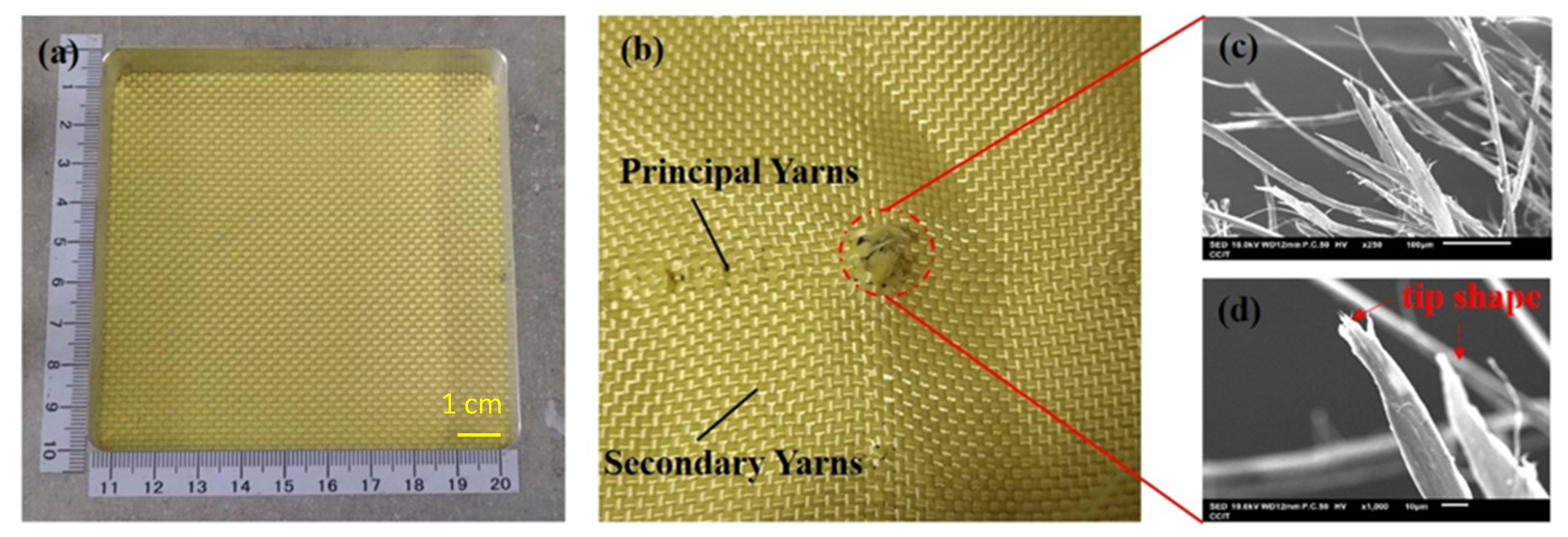 Polymers 14 05026 g004 Polymers 14 05026 g004