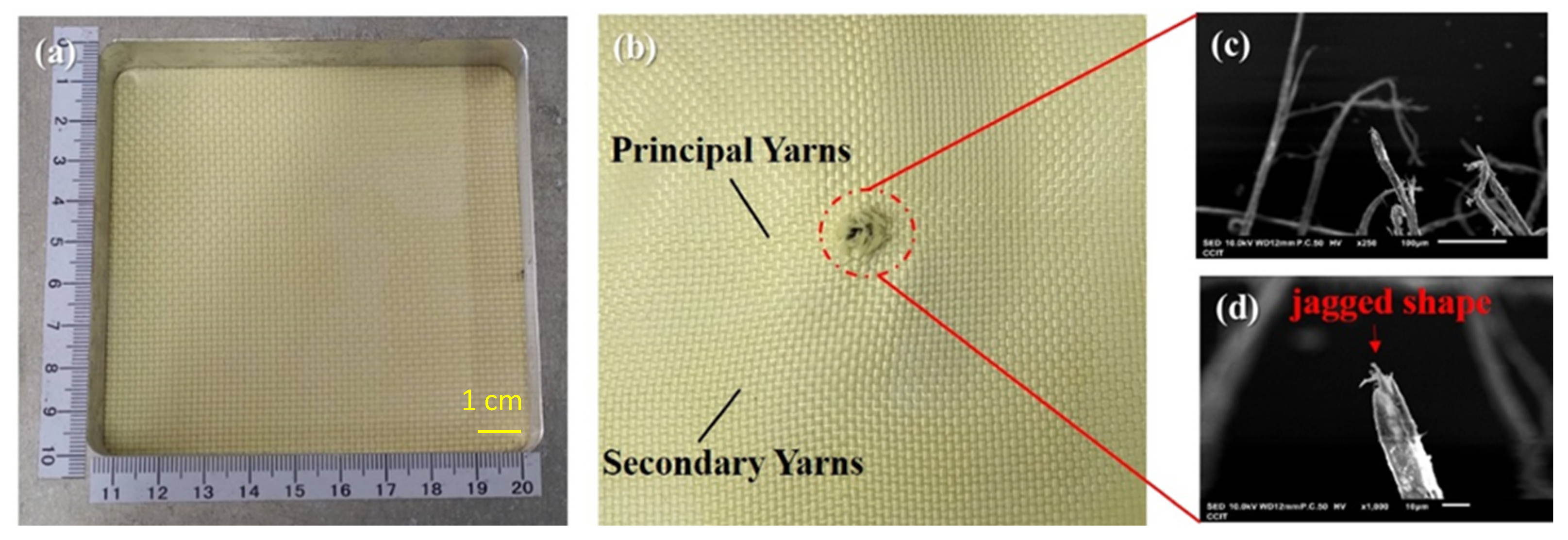 Polymers 14 05026 g005 Polymers 14 05026 g005