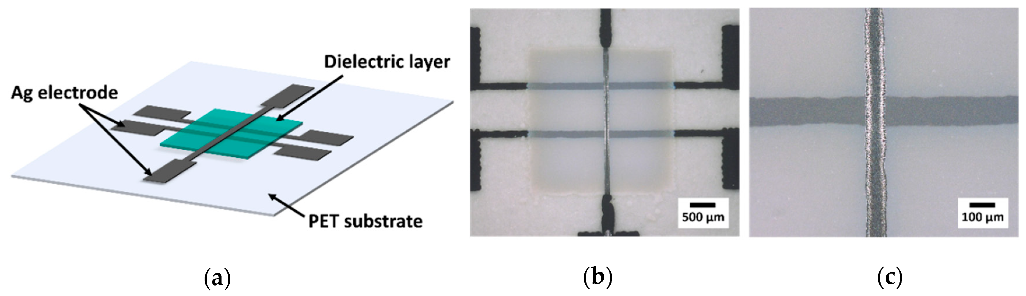 Polymers 14 05027 g003
