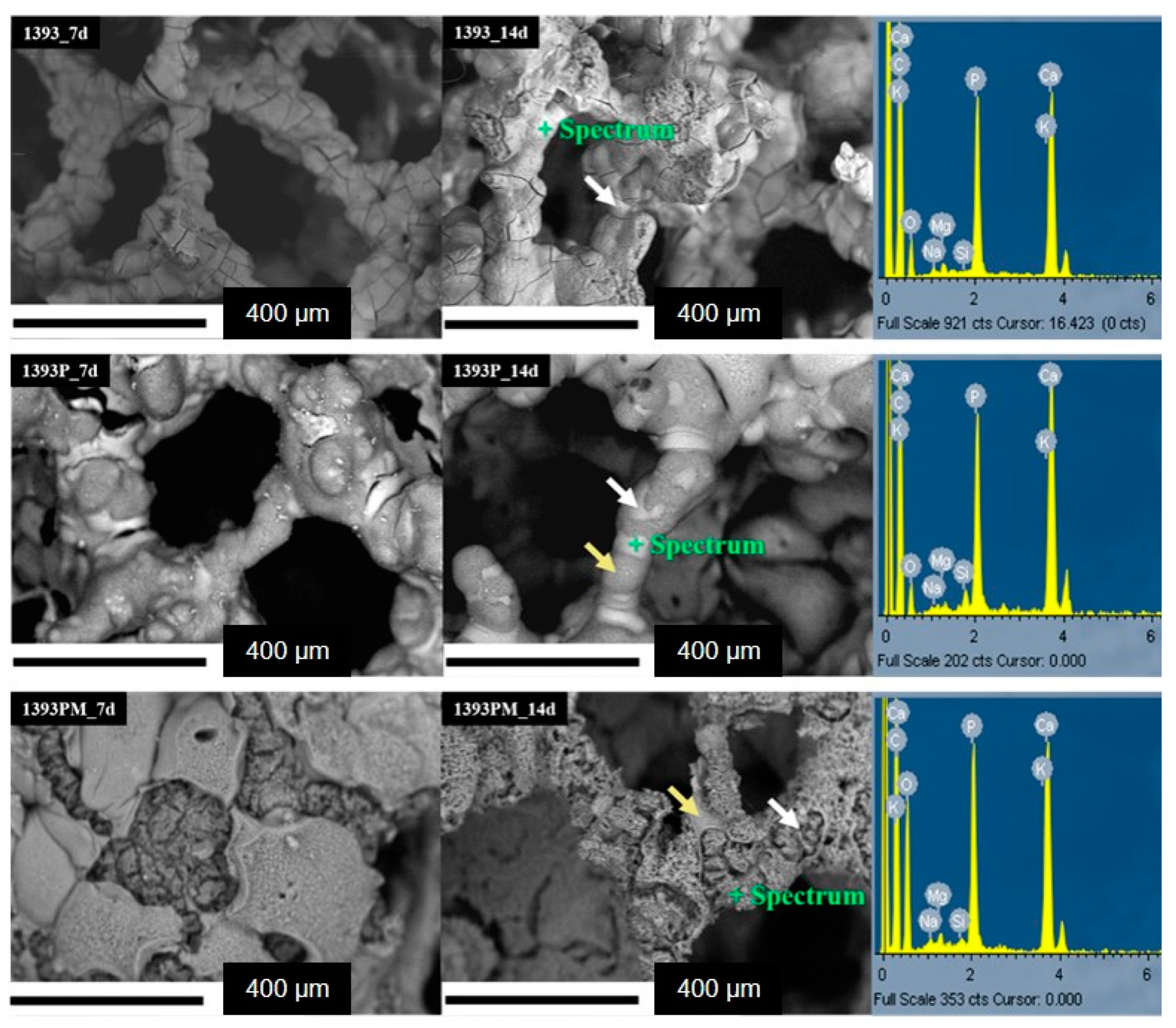 Polymers 14 05028 g011 Polymers 14 05028 g011