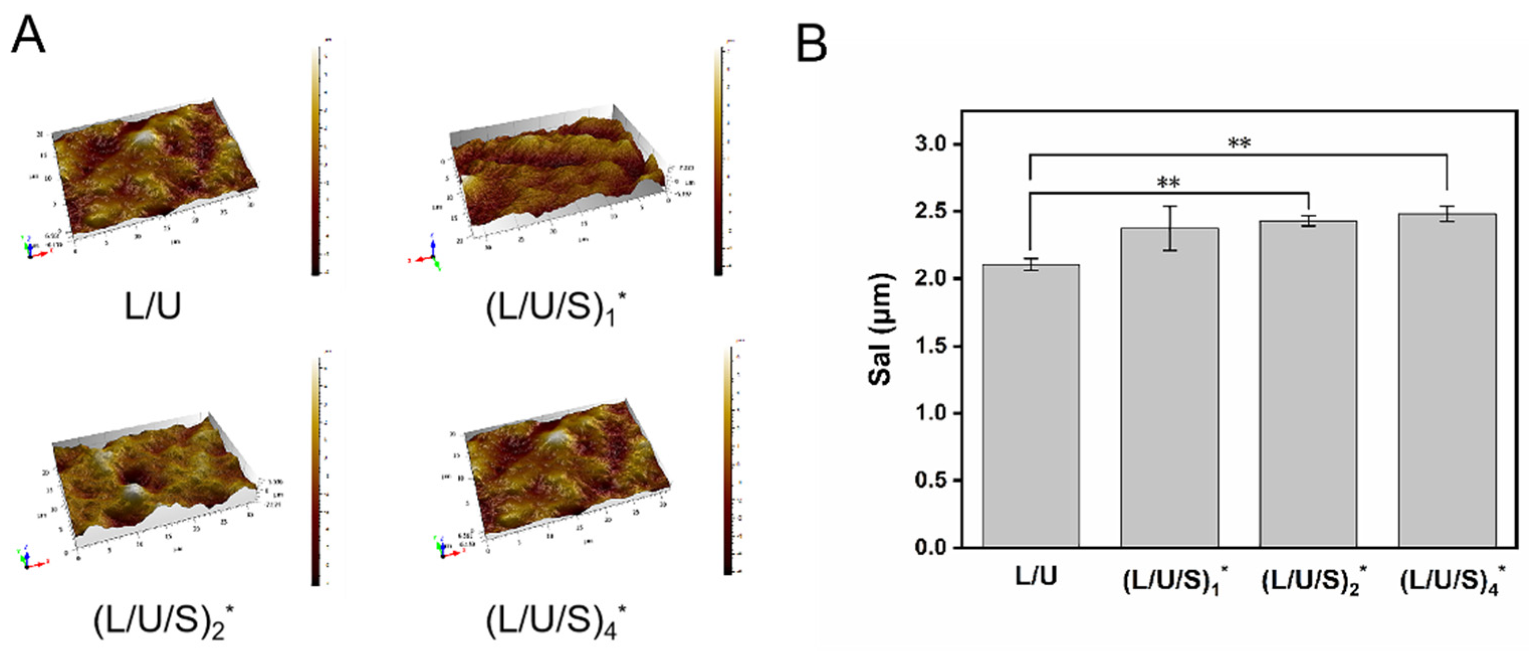 Polymers 14 05029 g003