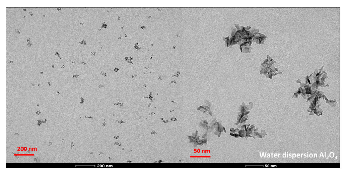 Polymers 14 05033 g007