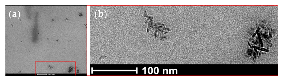 Polymers 14 05033 g010