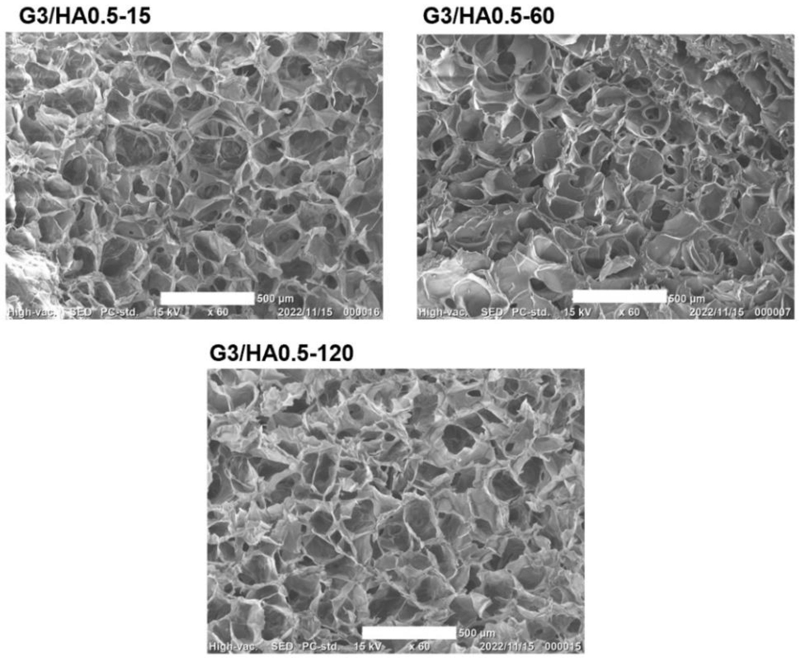 Polymers 14 05034 g005 Polymers 14 05034 g005