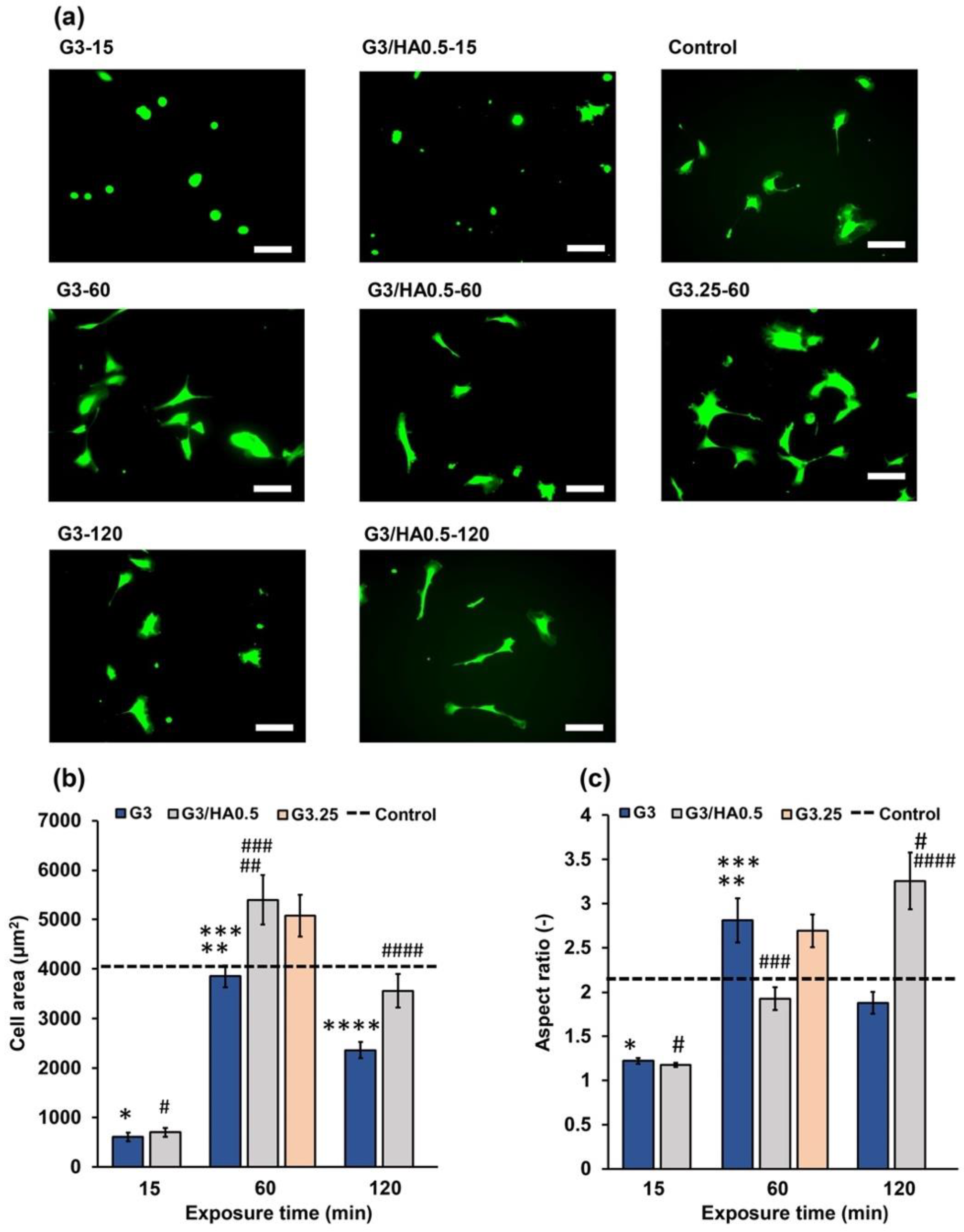 Polymers 14 05034 g006 Polymers 14 05034 g006