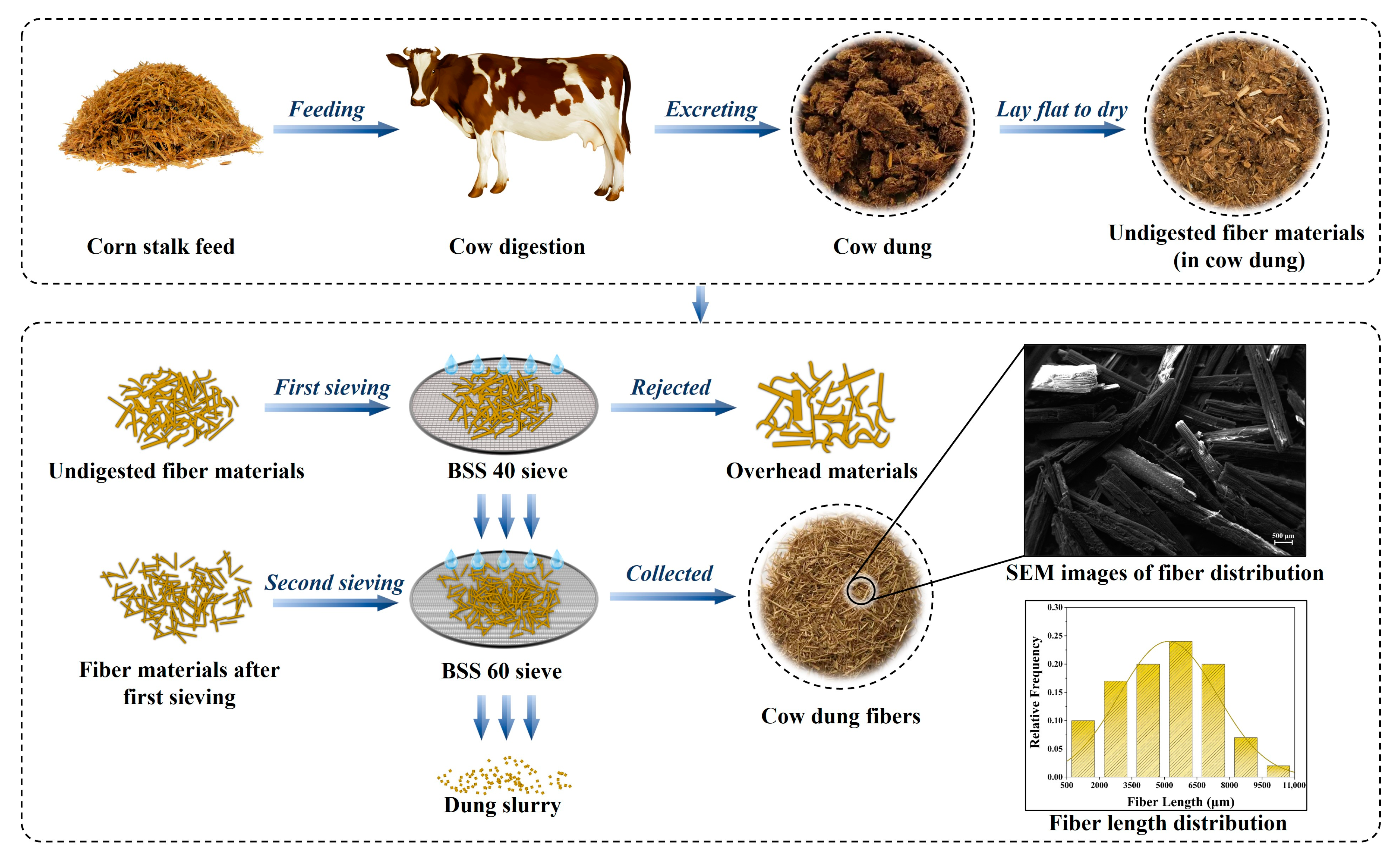 Polymers 14 05041 g001 Polymers 14 05041 g001