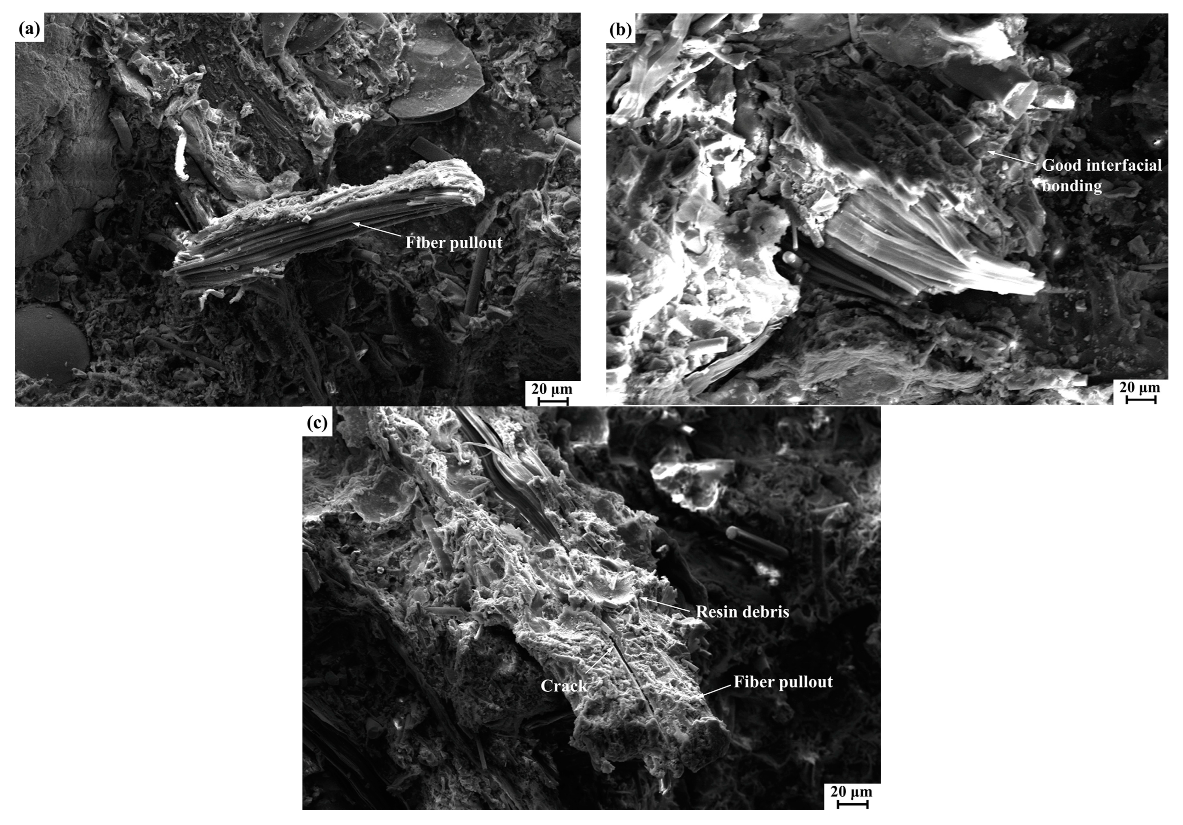 Polymers 14 05041 g009 Polymers 14 05041 g009