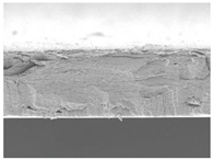 Polymers 14 05042 i009 Polymers 14 05042 i009